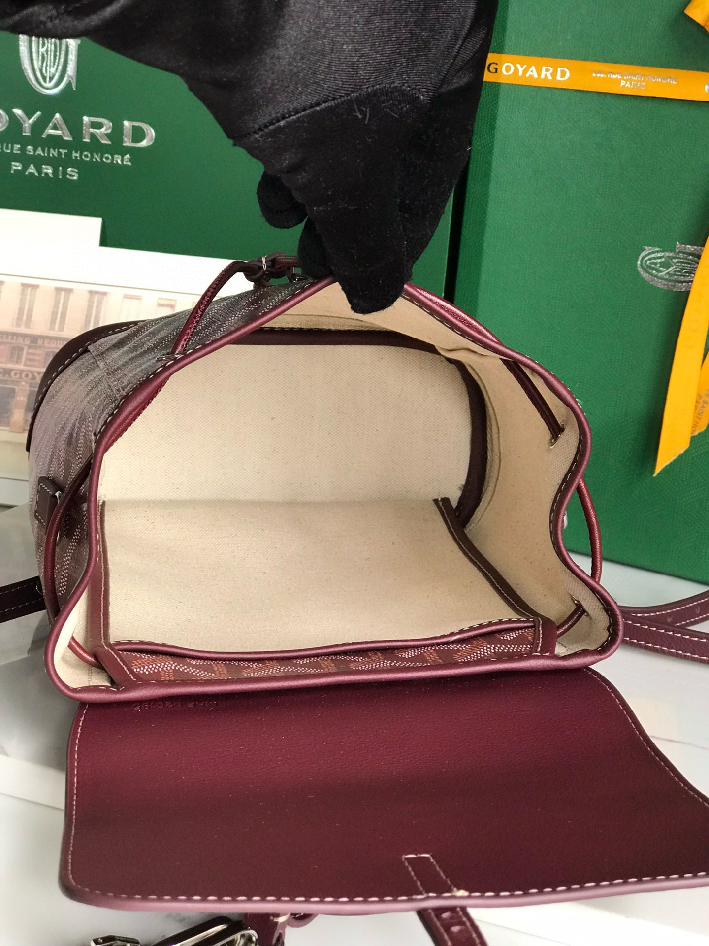 Goyard Mini Alpin Backpack