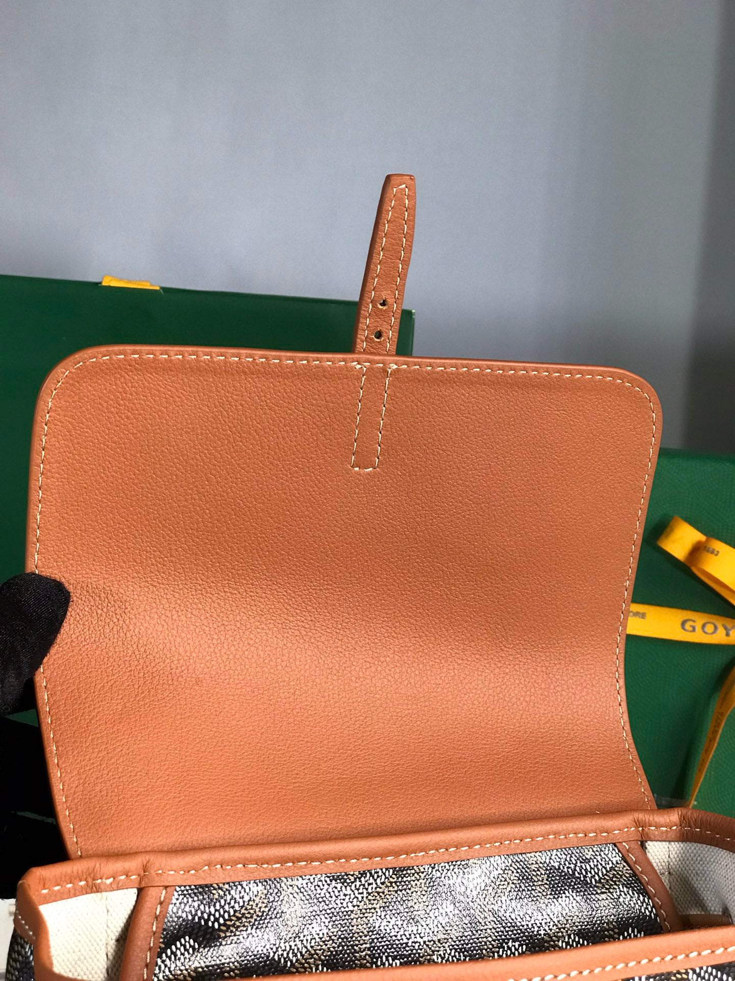 Goyard Mini Alpin Backpack