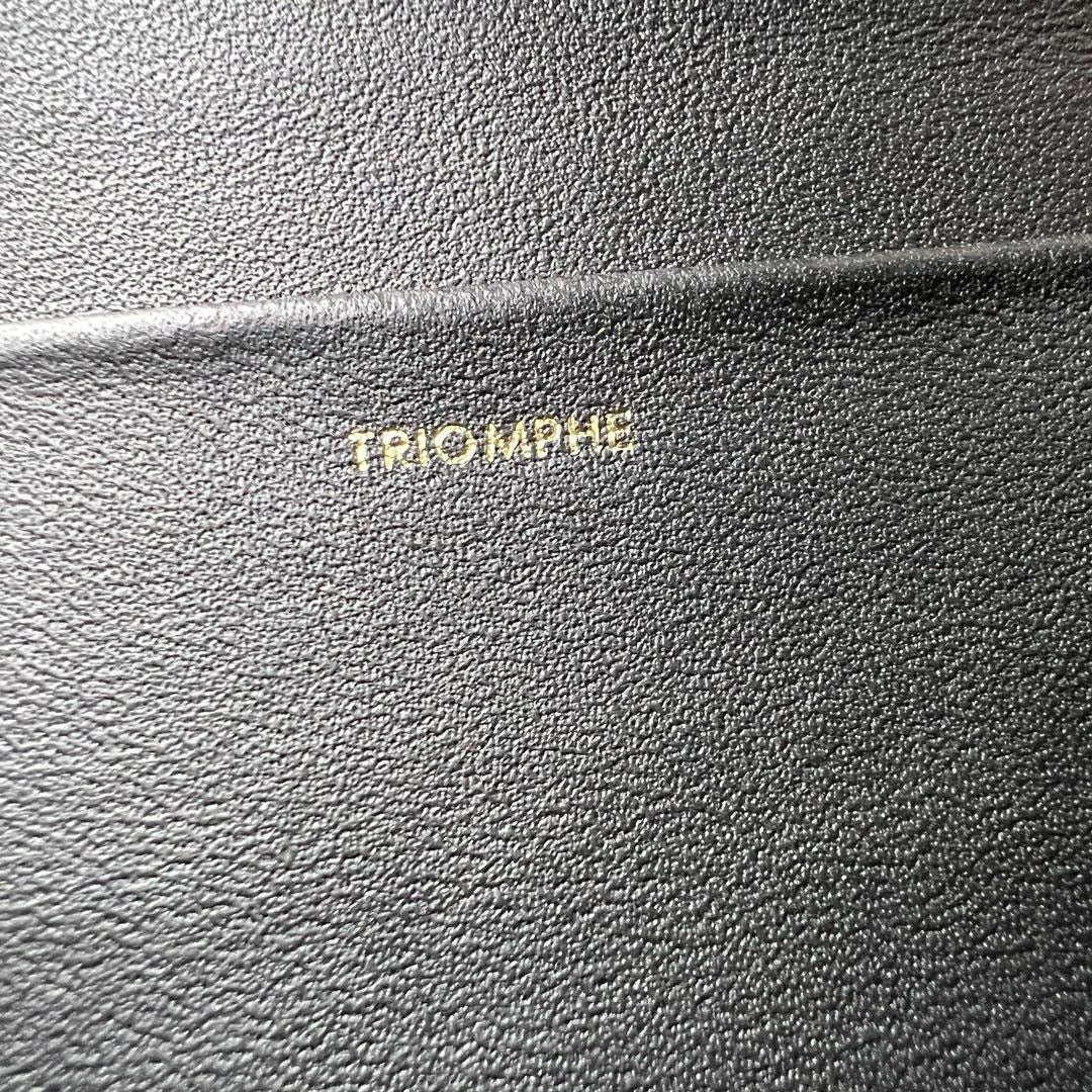 Celine Triomphe Cross Body