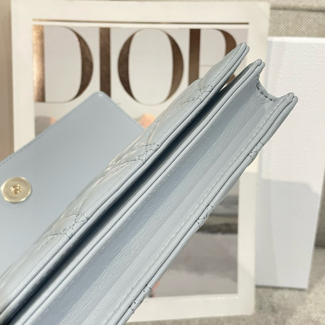 Dior WOC