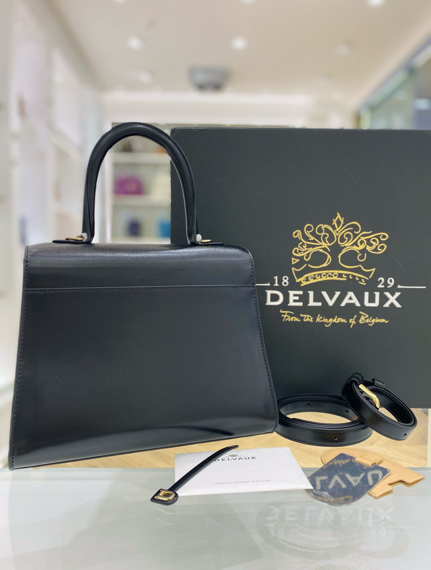 Delvaux Brillant Mini Box Top Handbag