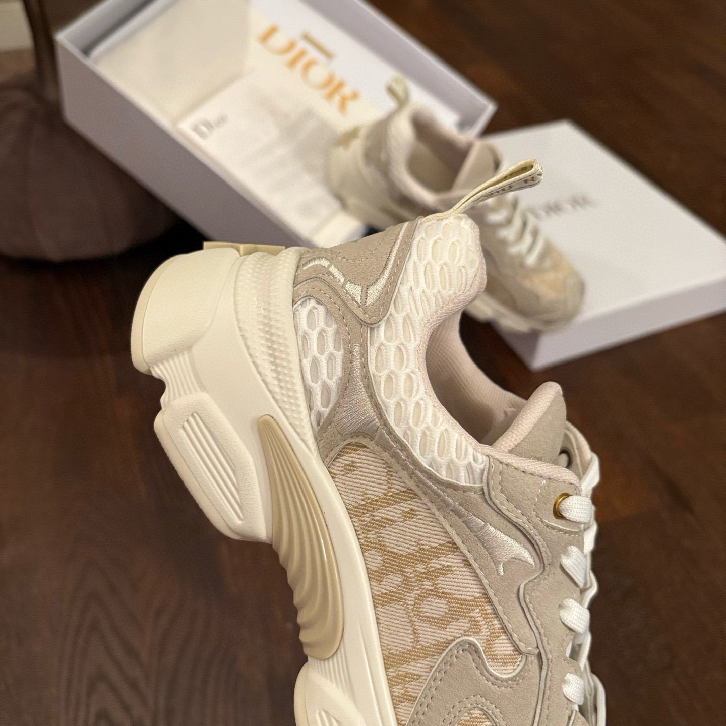 Dior Sneakers