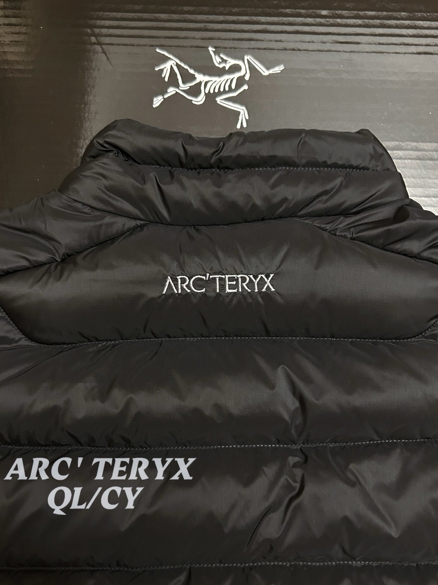 Arcteryx Down Vest