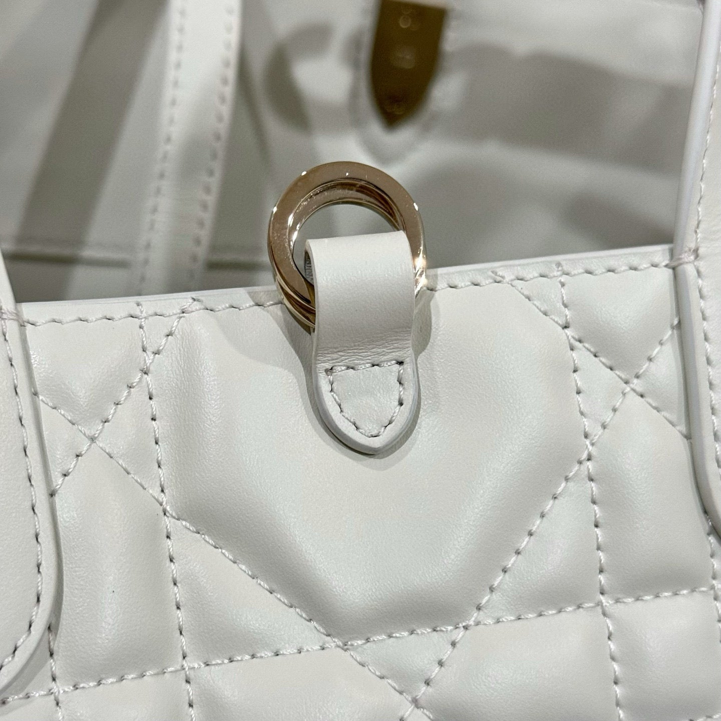 Dior Toujours Bag