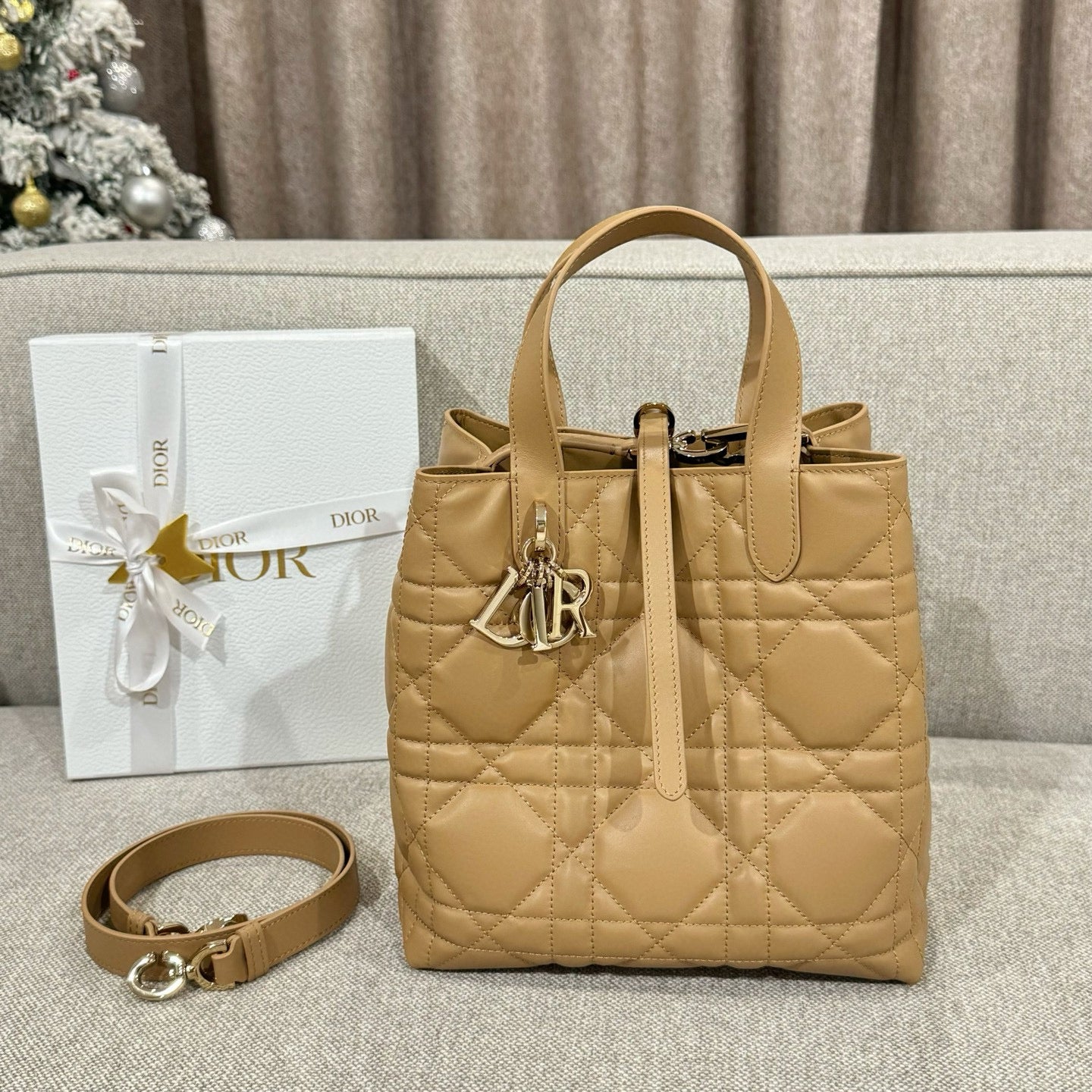 Dior Toujours Bag
