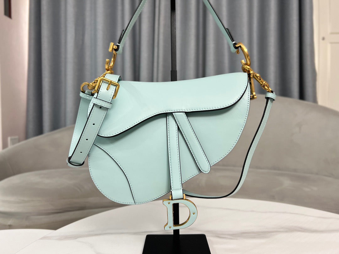 Dior Saddle Bag (25.5cm)