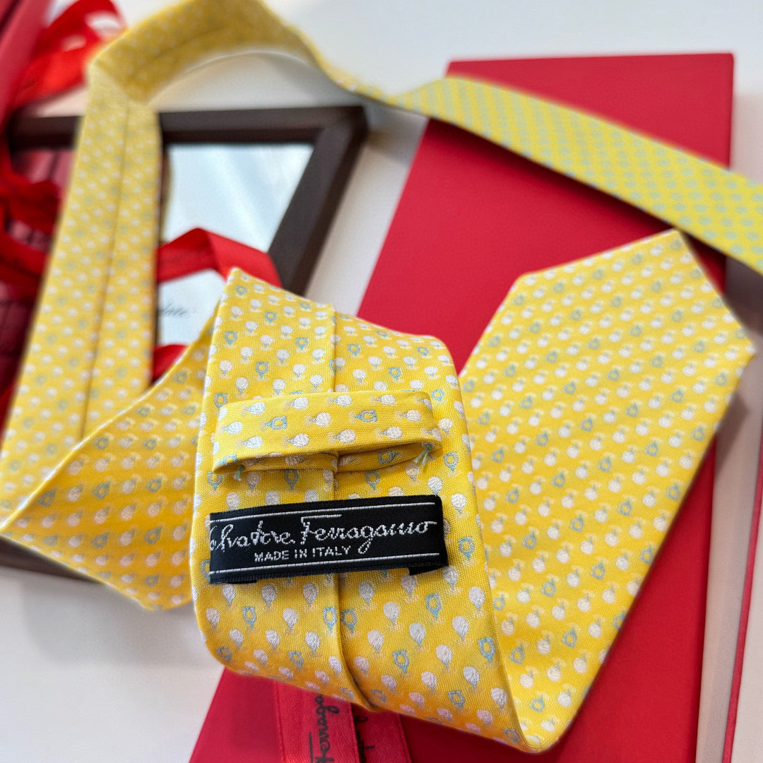 Salvatore Ferragamo Tie