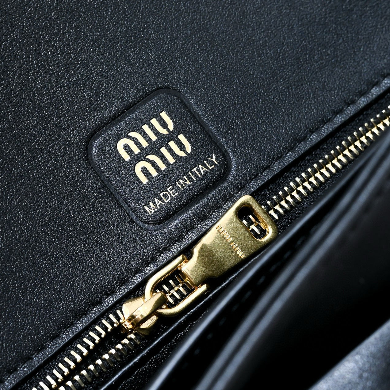 Miu Miu Penny Bag