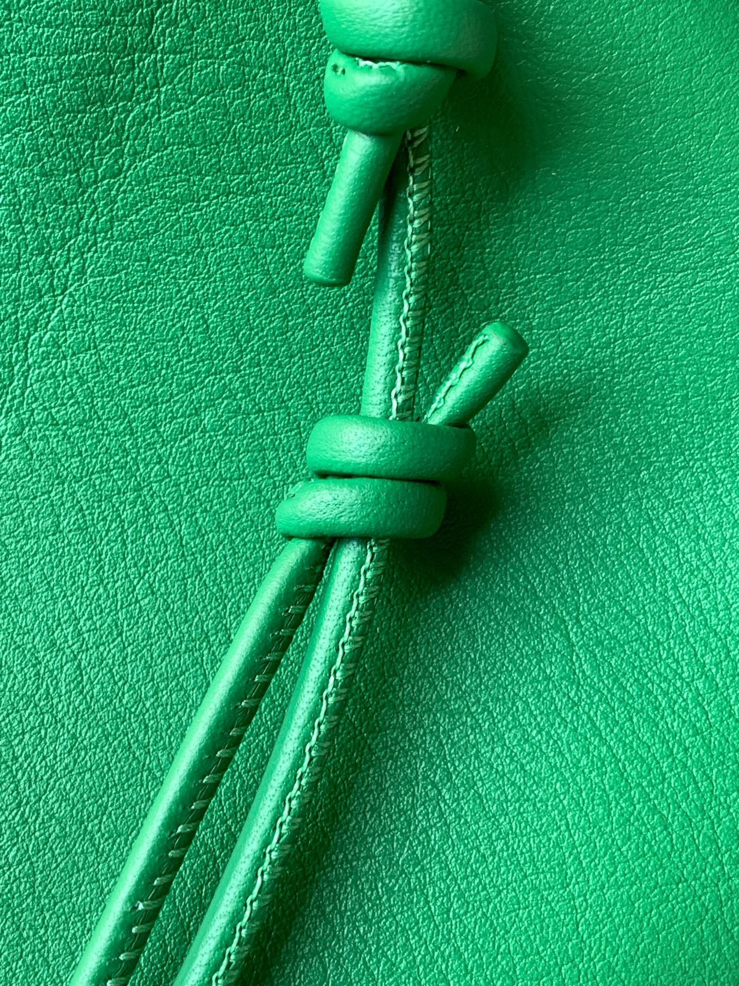 Loewe Pebble Leather