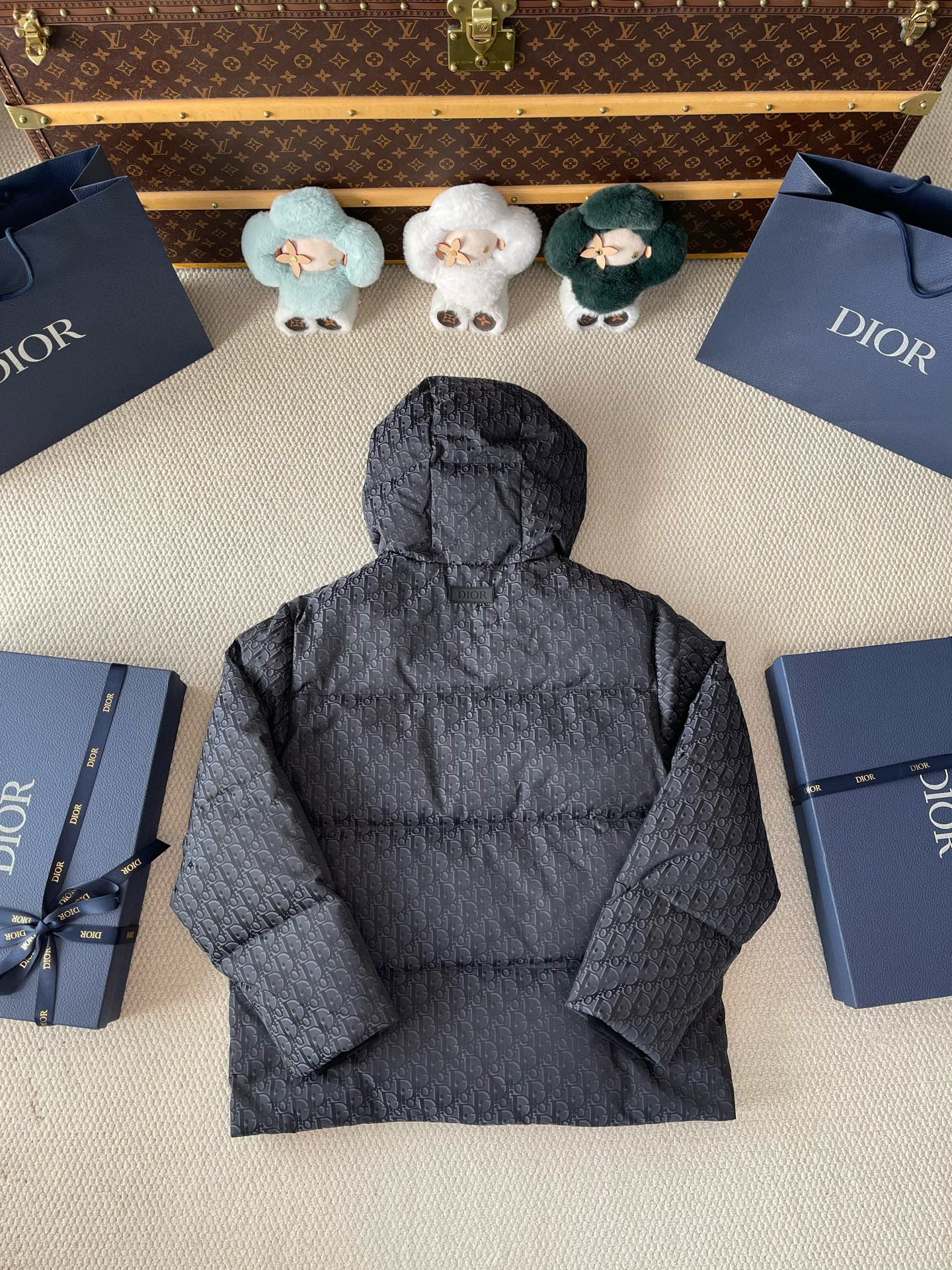 Dior Down Jacket
