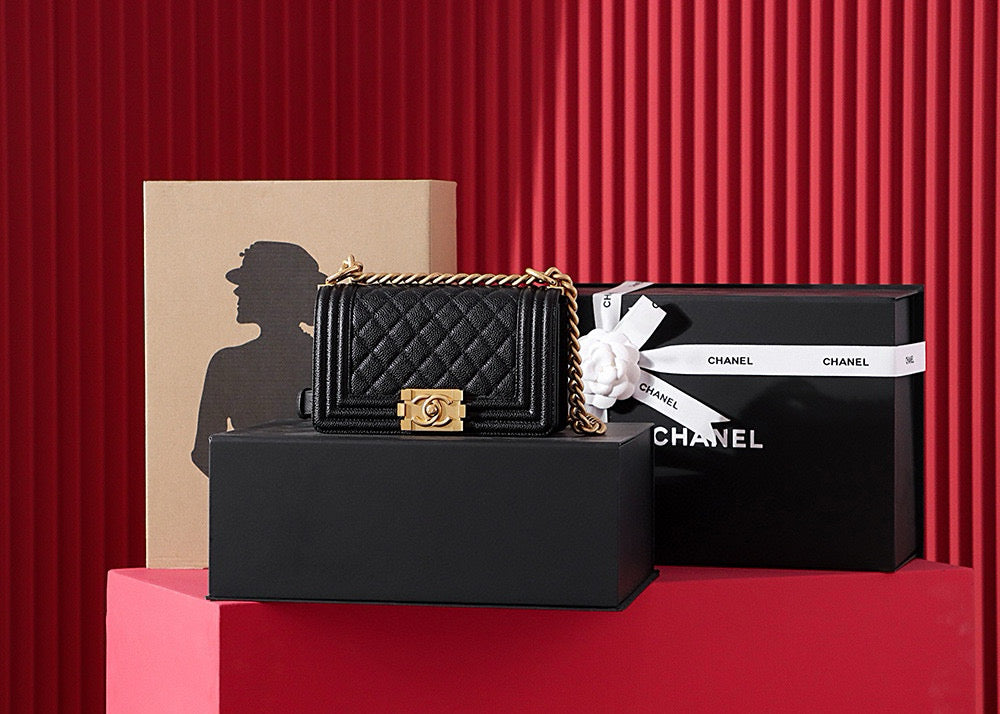 Chanel Leboy Bag (small)