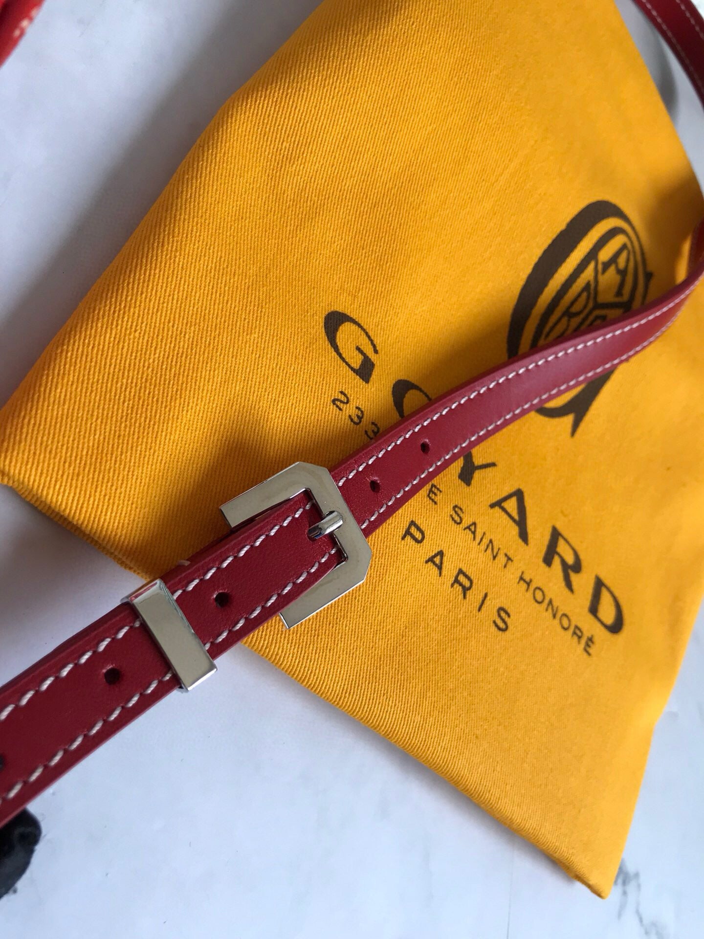 GOYARD CAP-VERT PM BAG