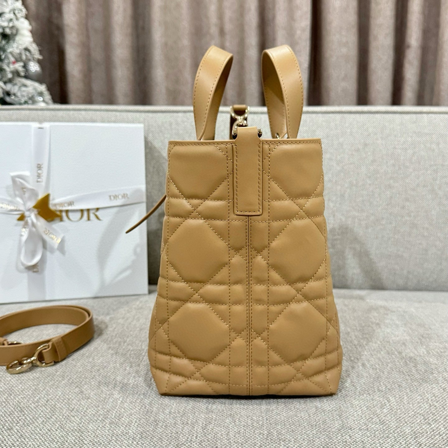 Dior Toujours Bag