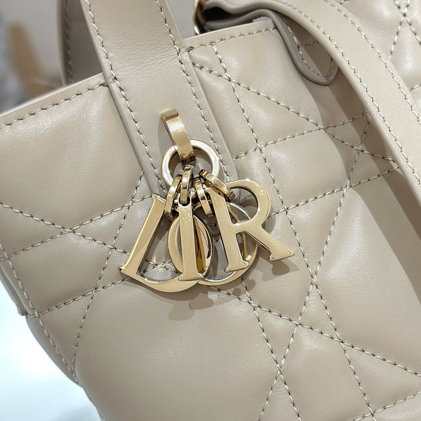 Dior Toujours Mini Bag