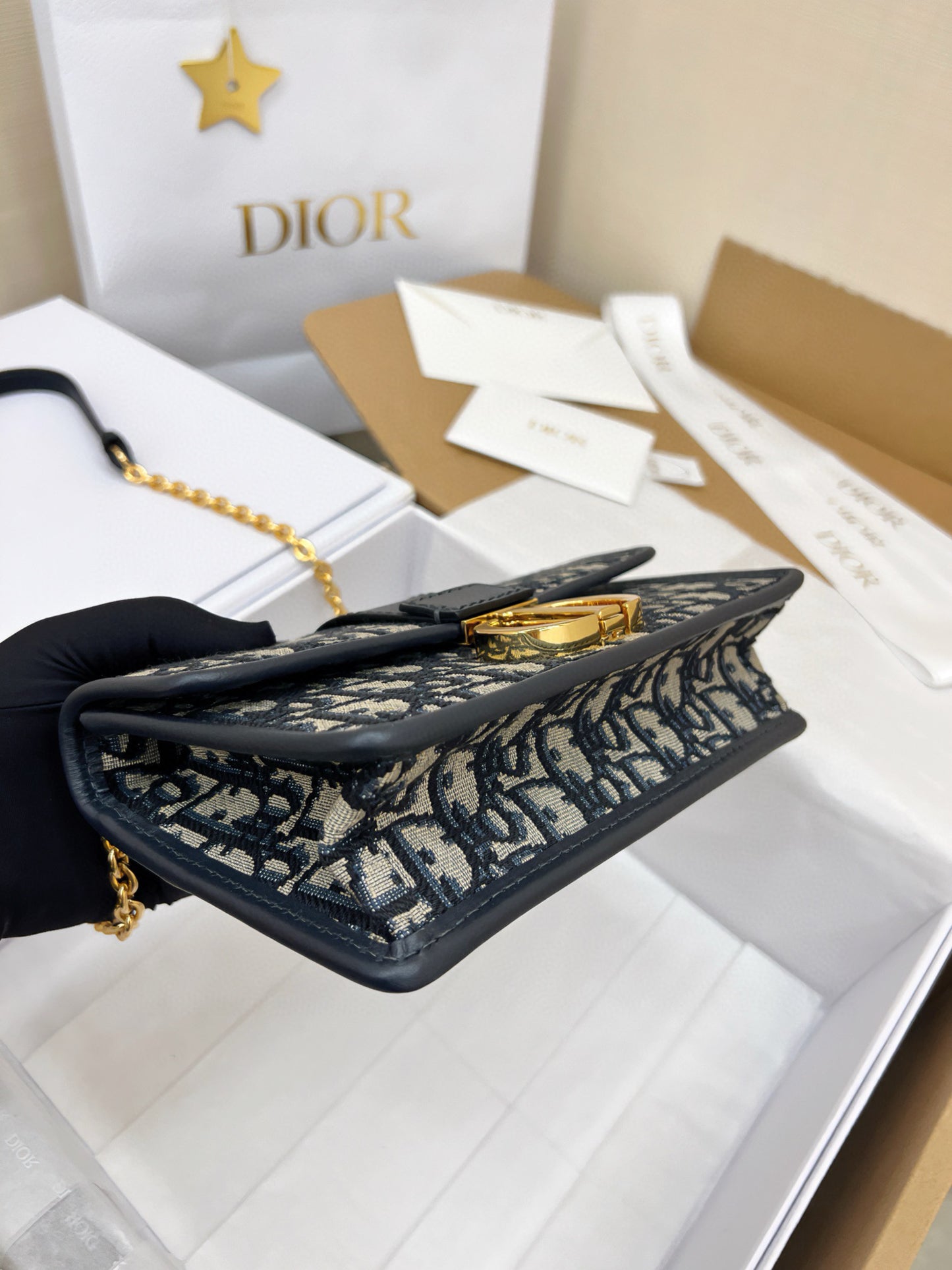 Dior Montaigne Bag