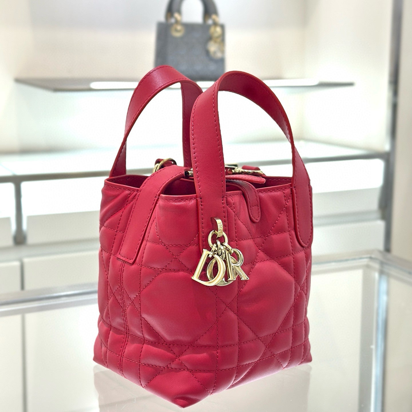 Dior Toujours Mini Bag