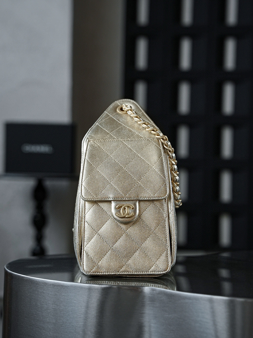 Chanel Hobo 25Bag (small)