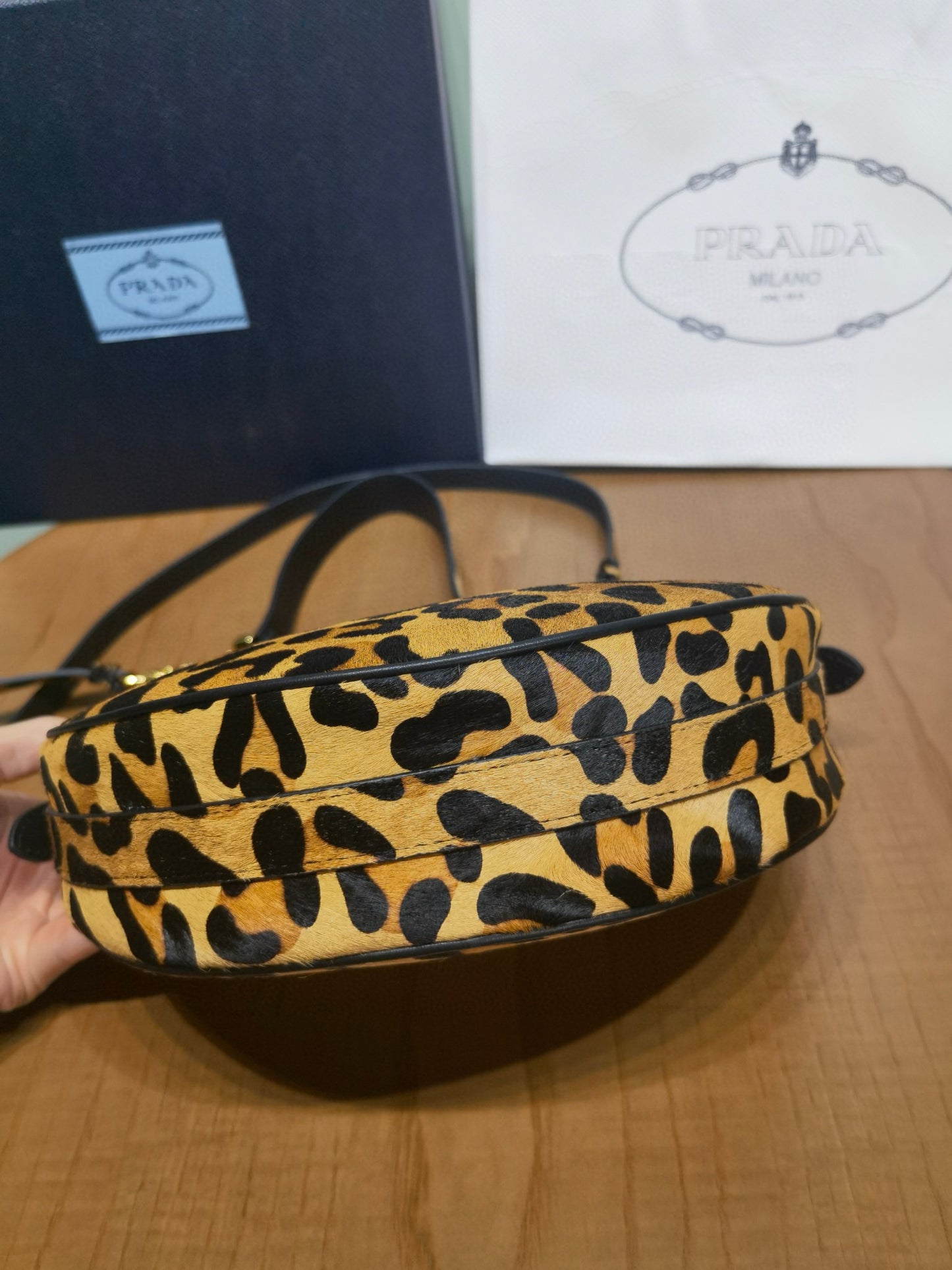 Prada Arque Moon Bag