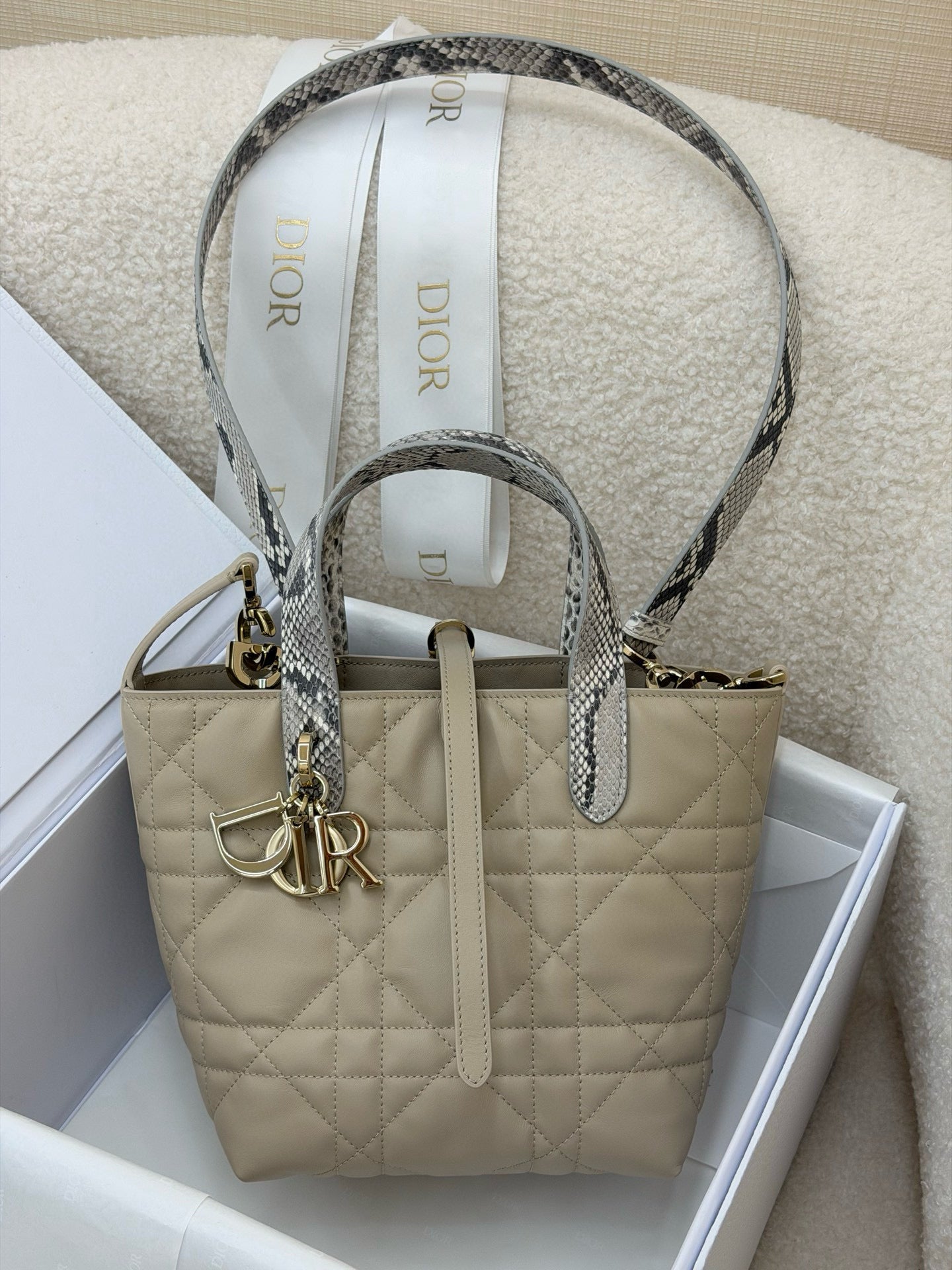 Dior Toujours Bag
