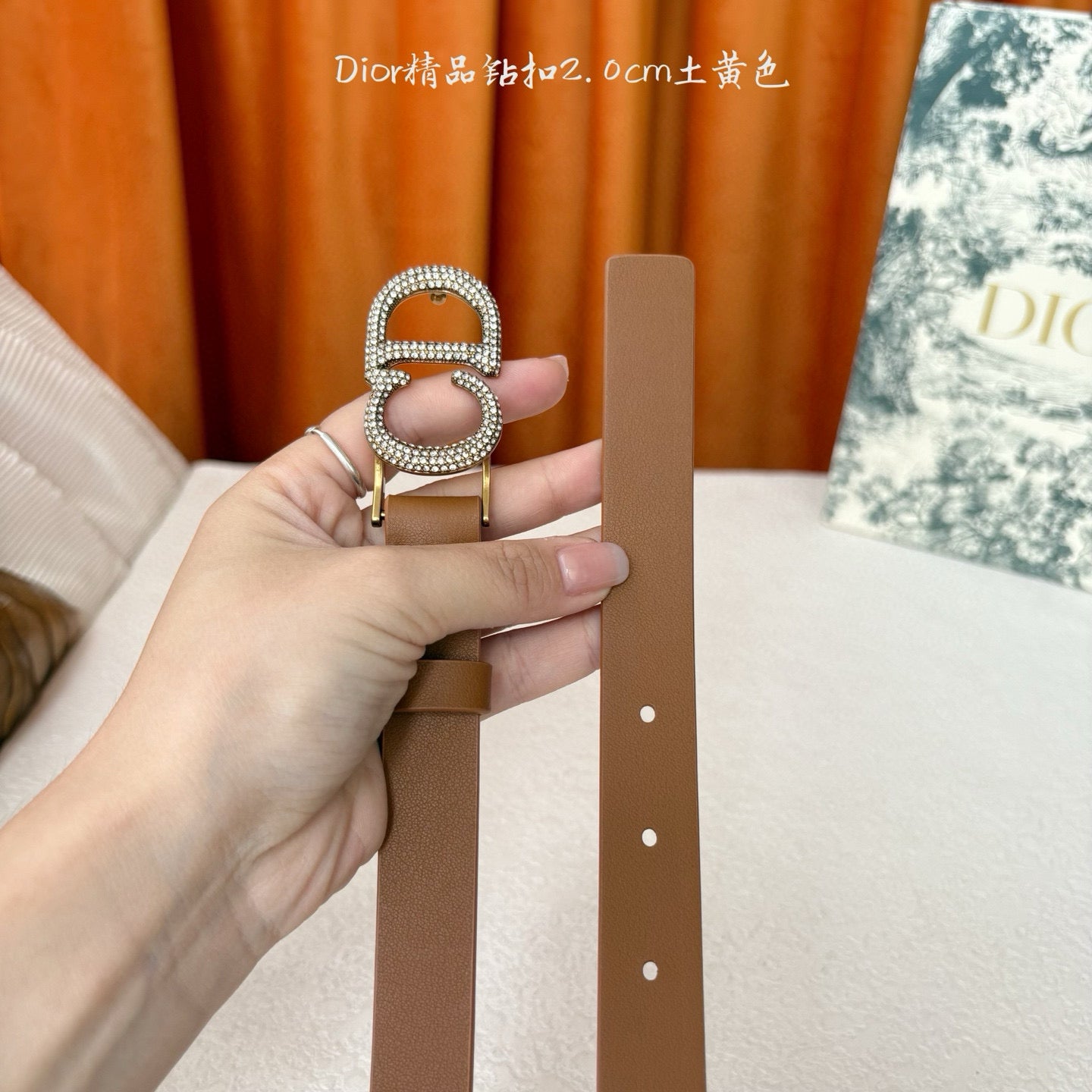 Dior Belt