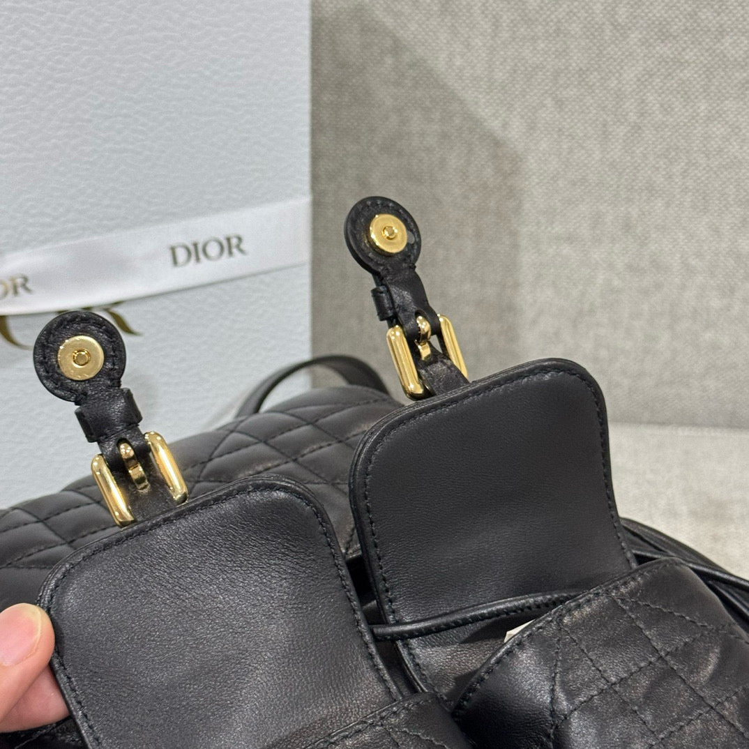 Dior Backpack