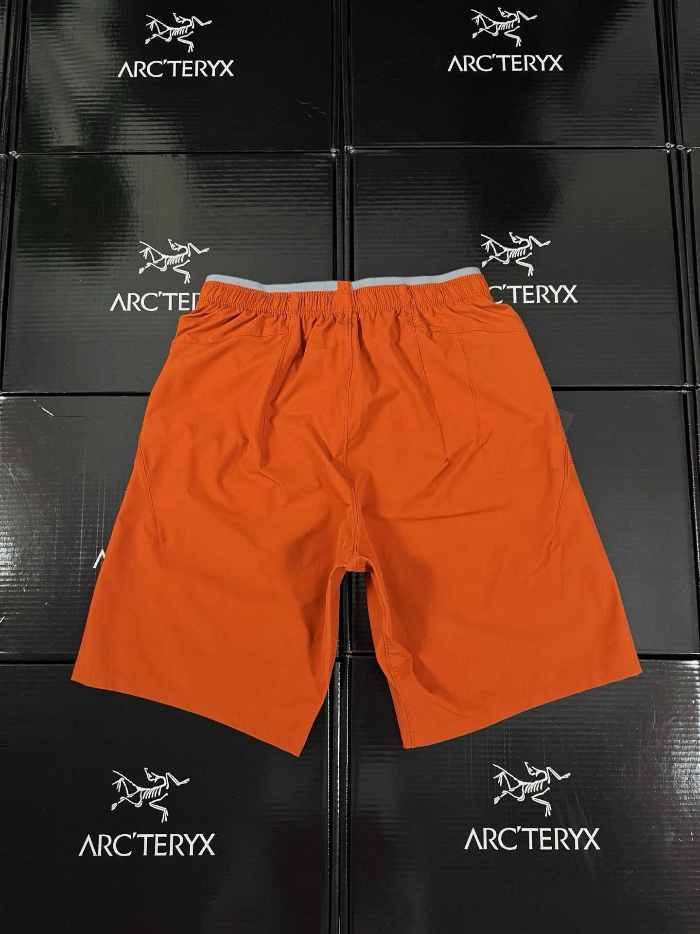 Arcteryx Short