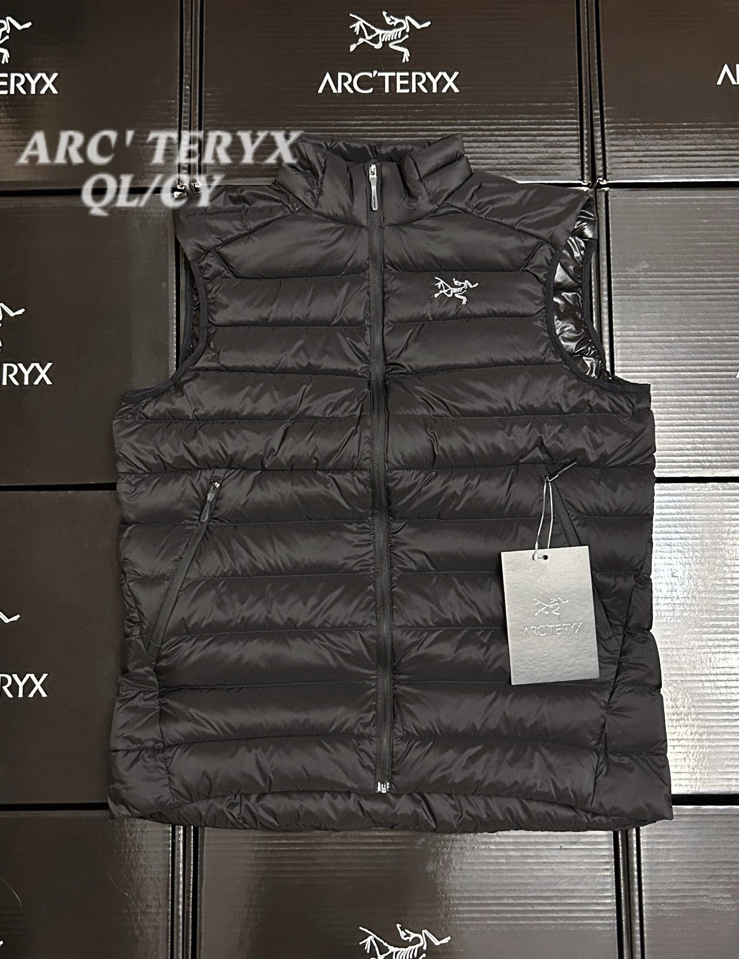 Arcteryx Down Vest