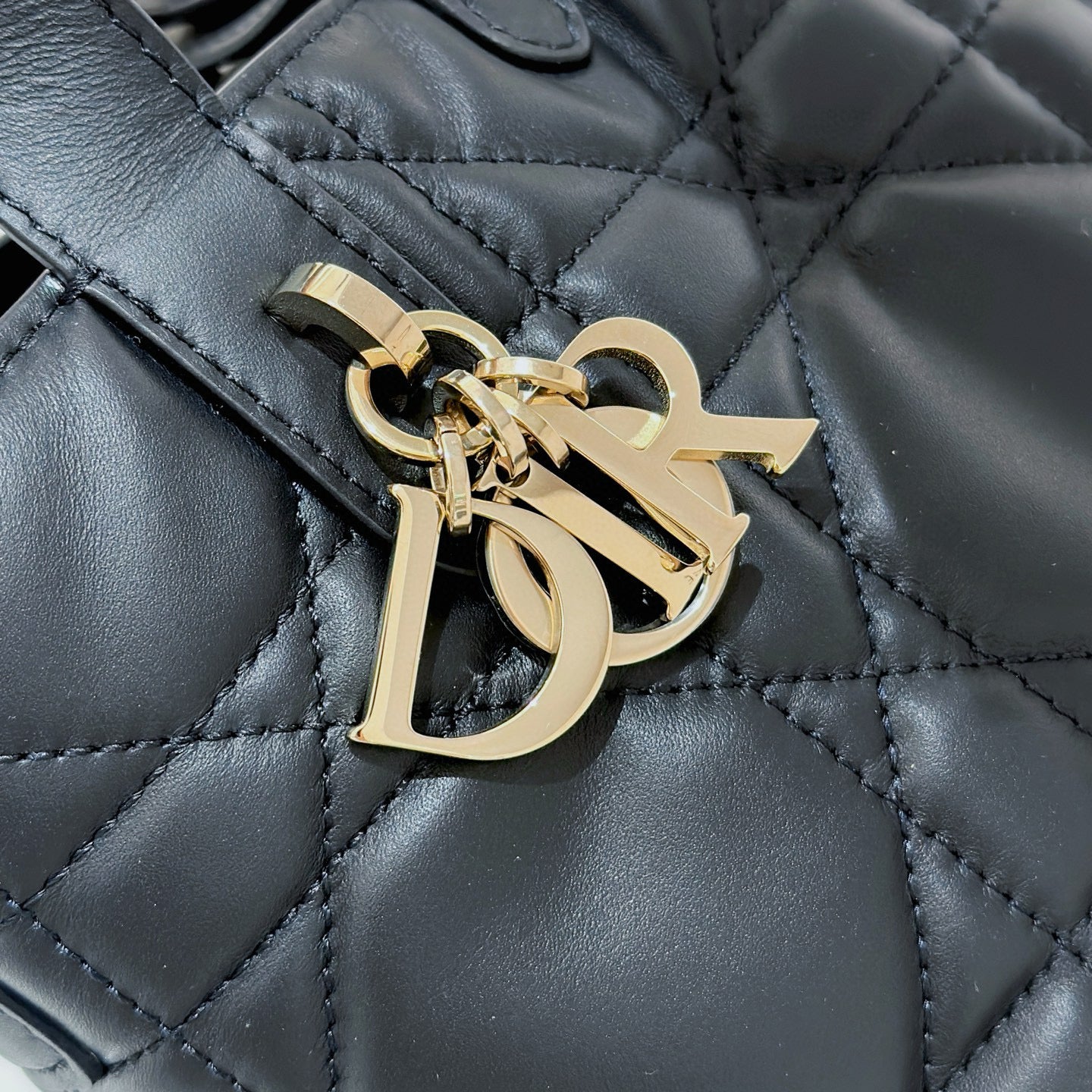 Dior Toujours Mini Bag