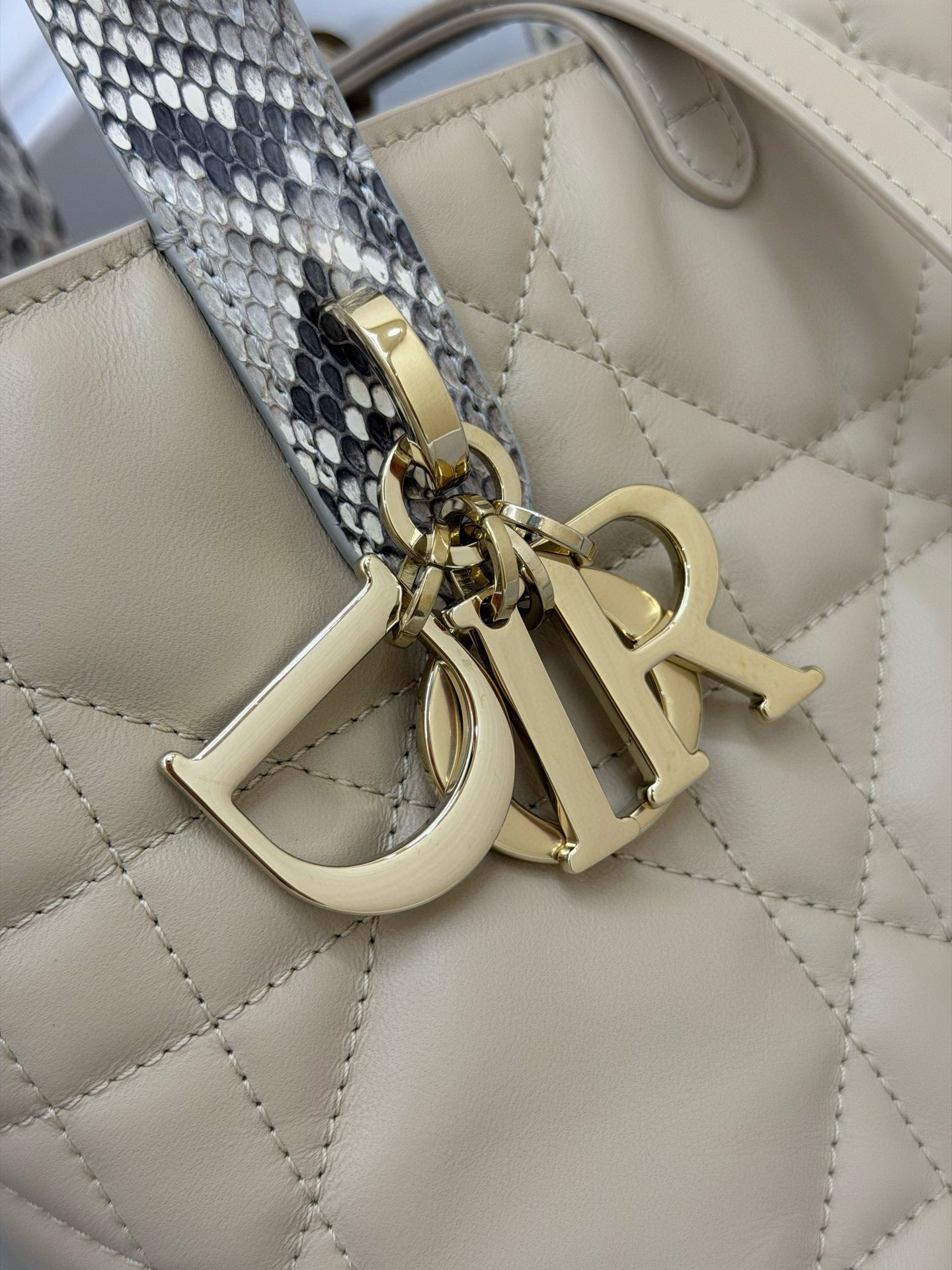 Dior Toujours Bag