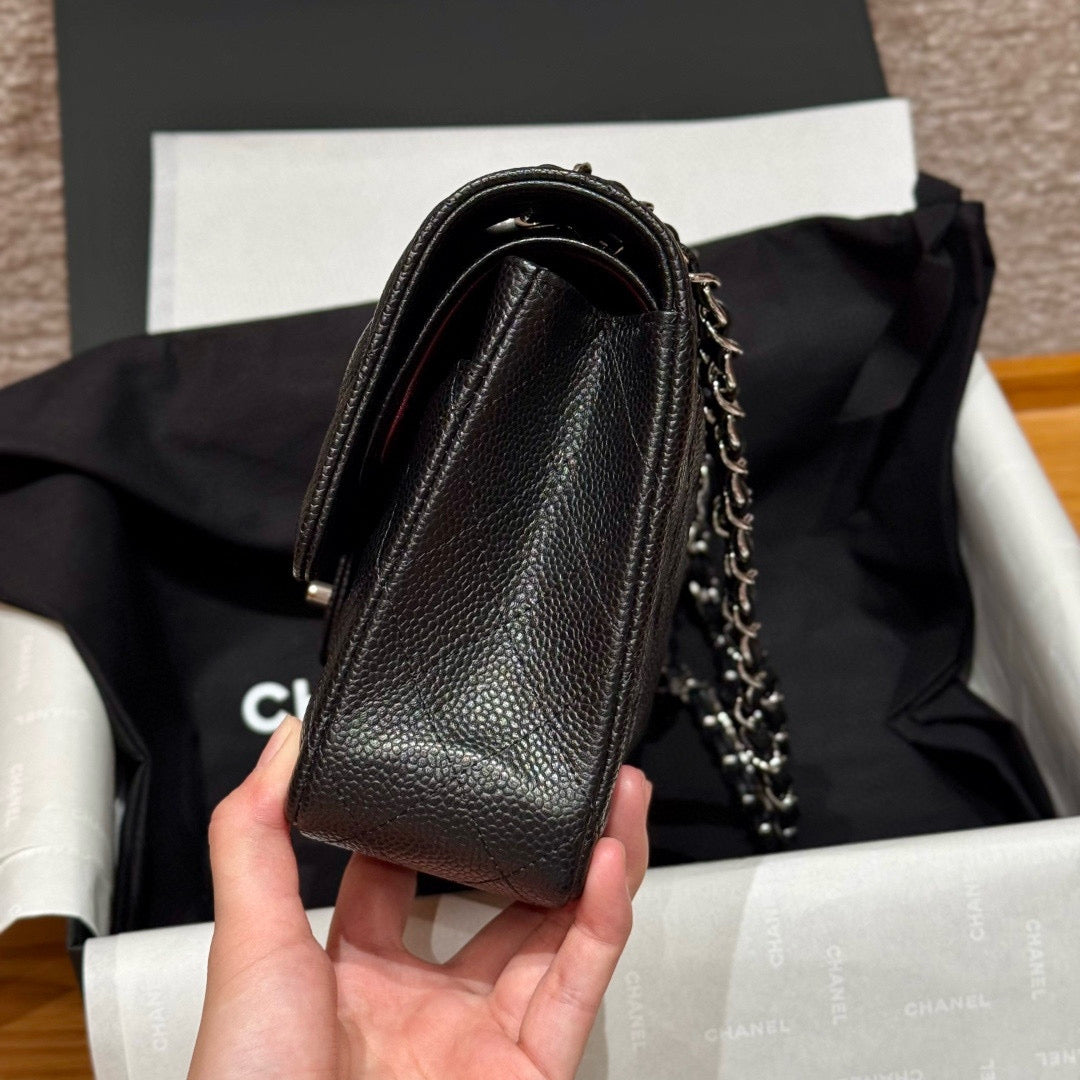 Chanel Classic Flap 25 (Medium)