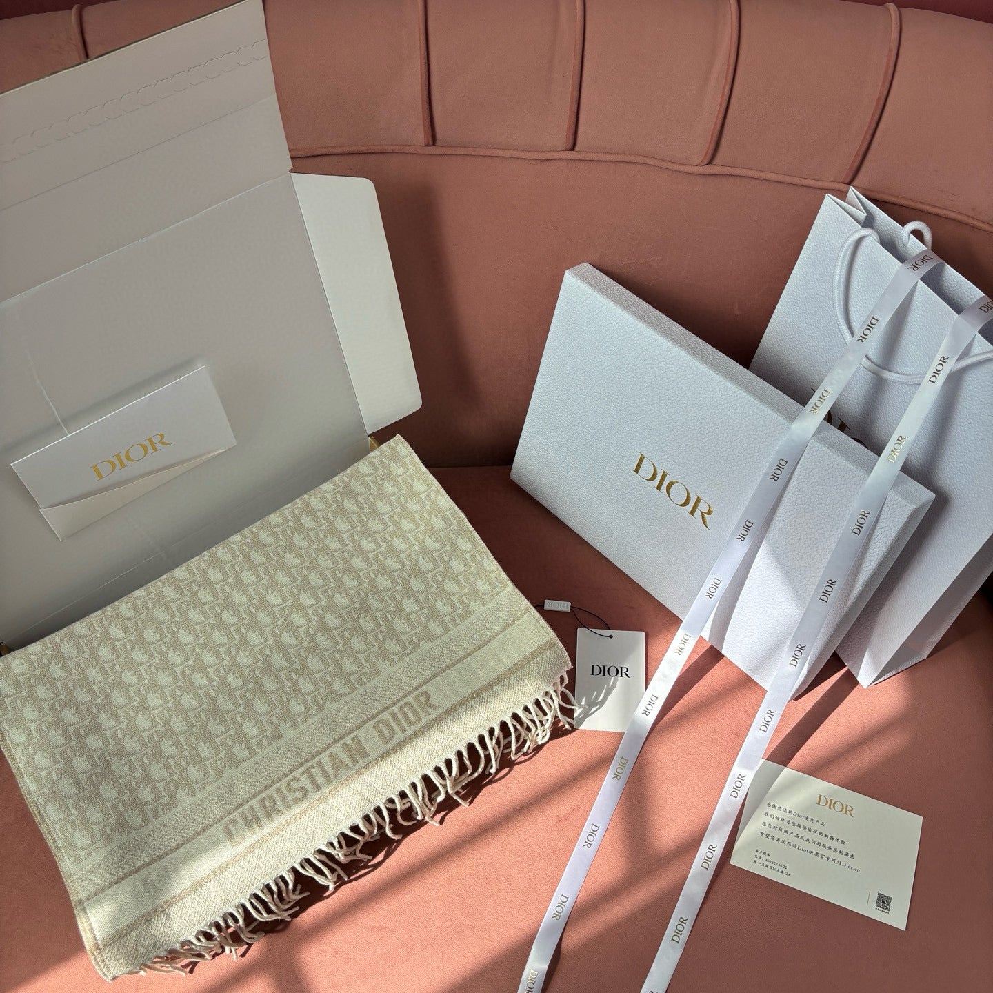 Dior Scarves