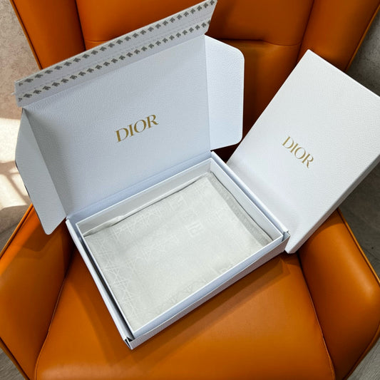 Dior Scarves