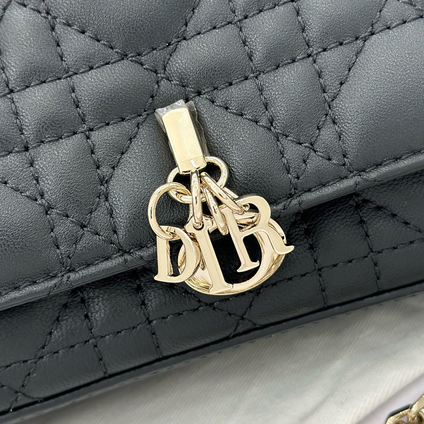 Dior WOC