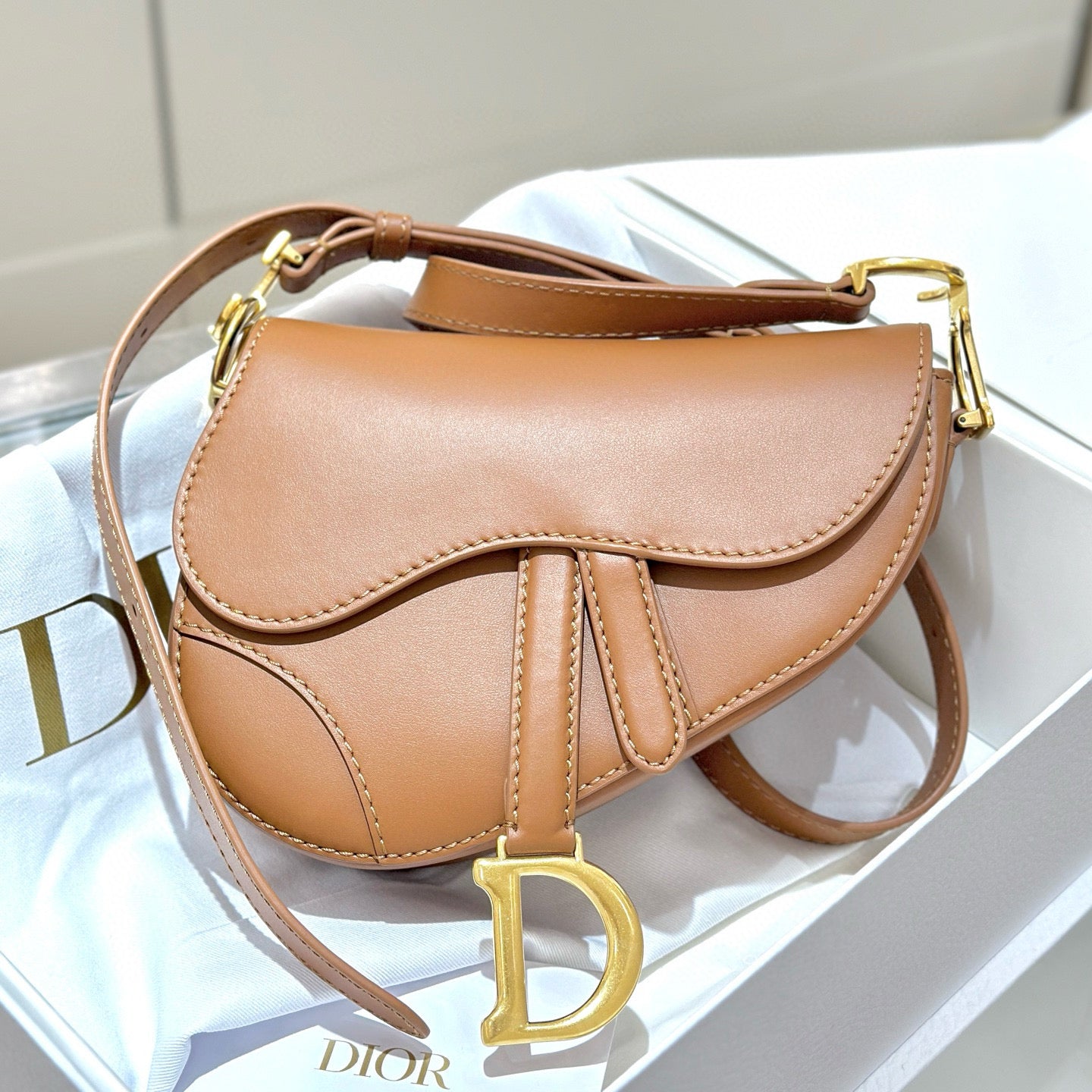 Dior Saddle Bag
