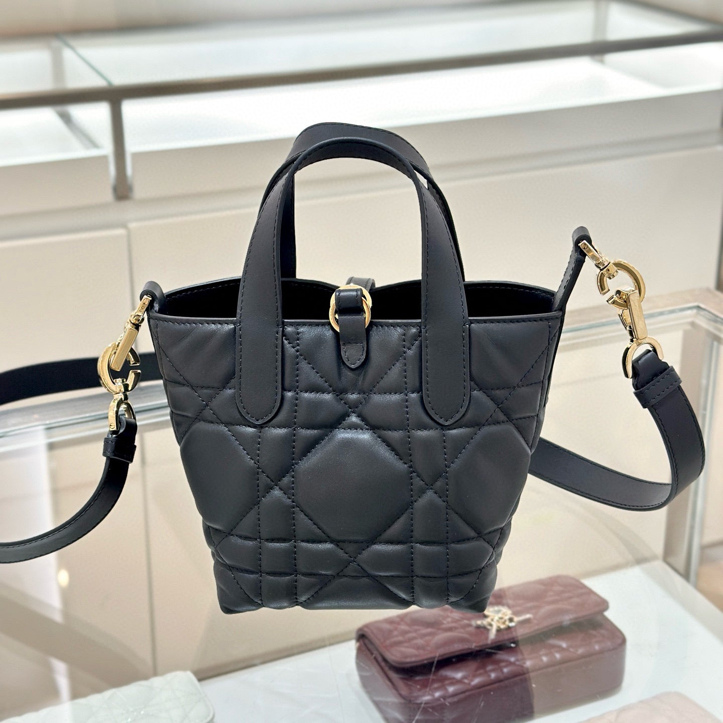 Dior Toujours Mini Bag