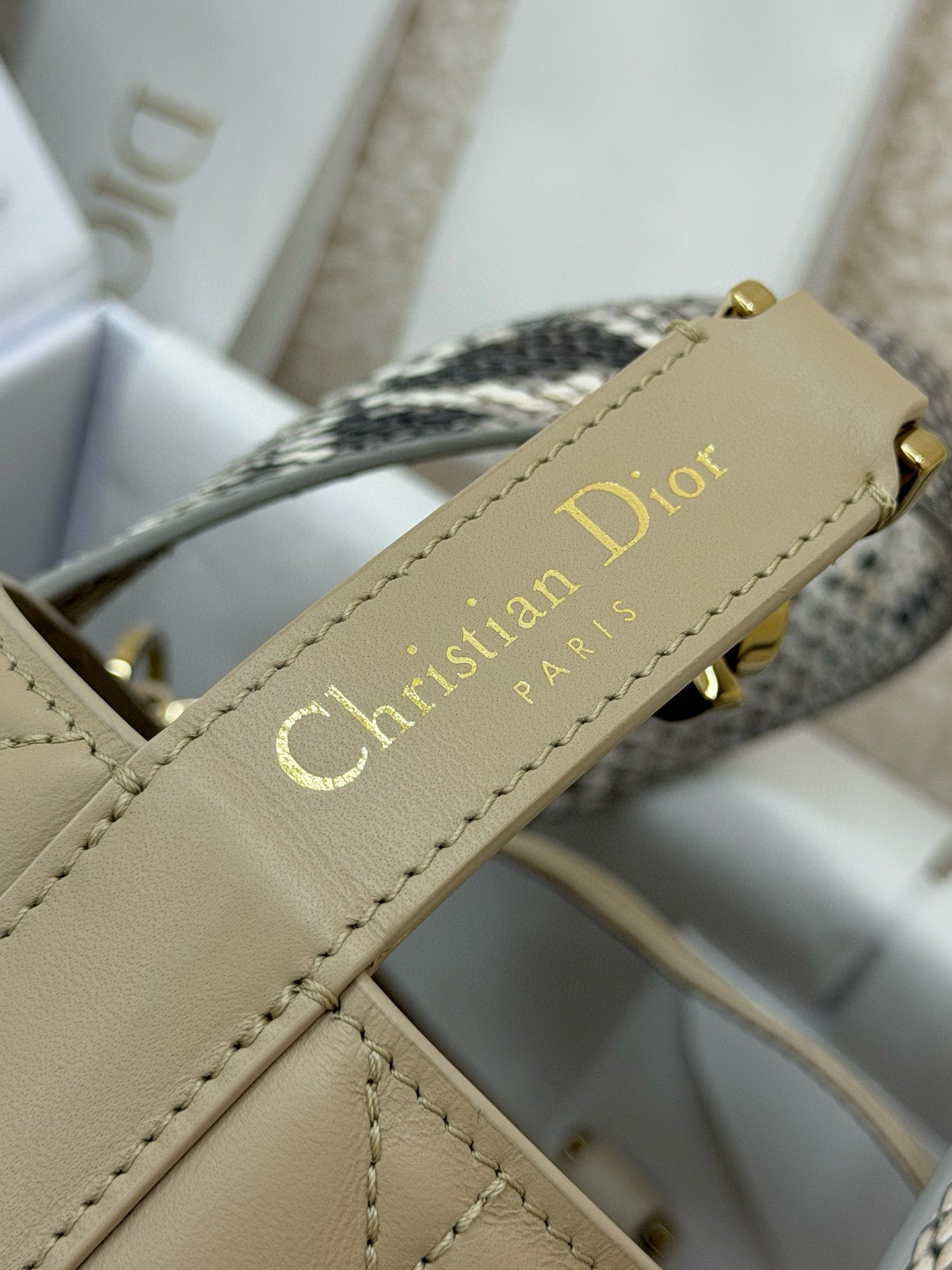 Dior Toujours Bag