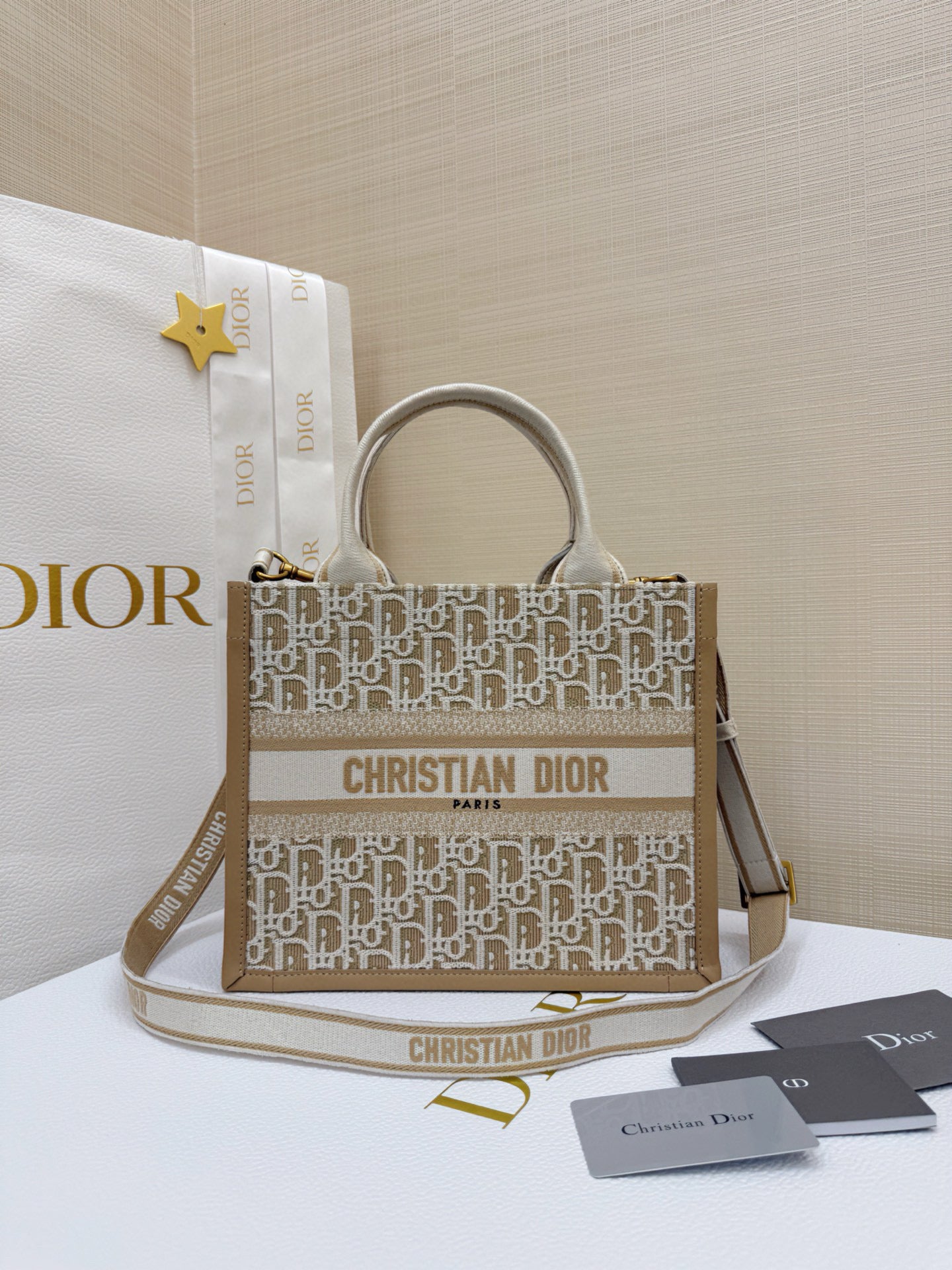Dior Book Tote Bag