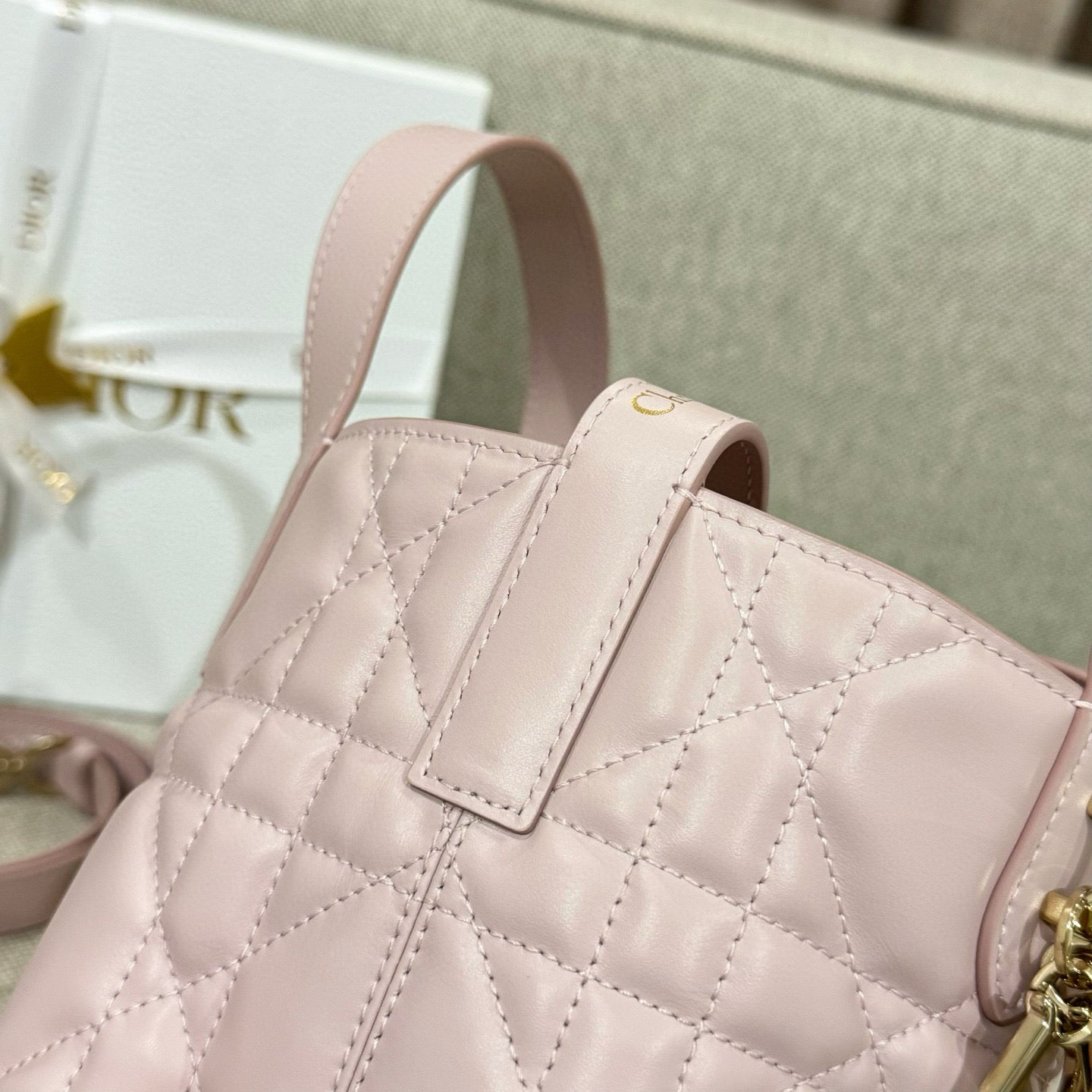 Dior Toujours Mini Bag