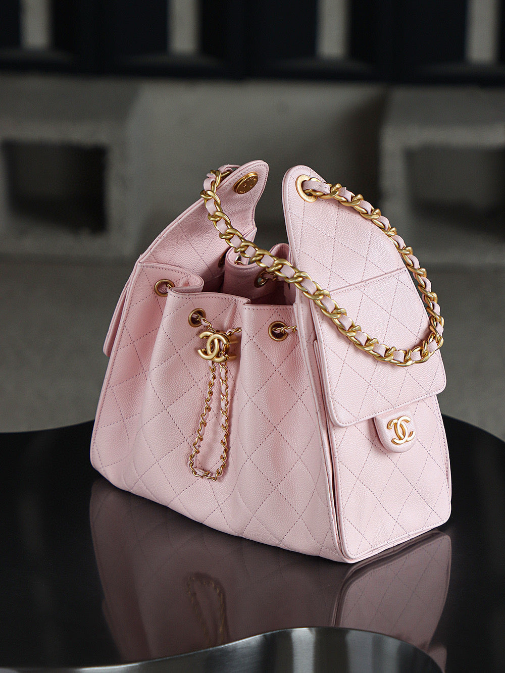 Chanel Hobo 25Bag (small)