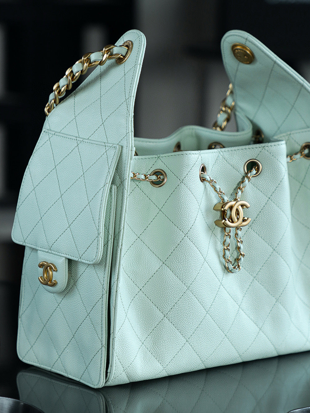 Chanel Hobo 25Bag (small)