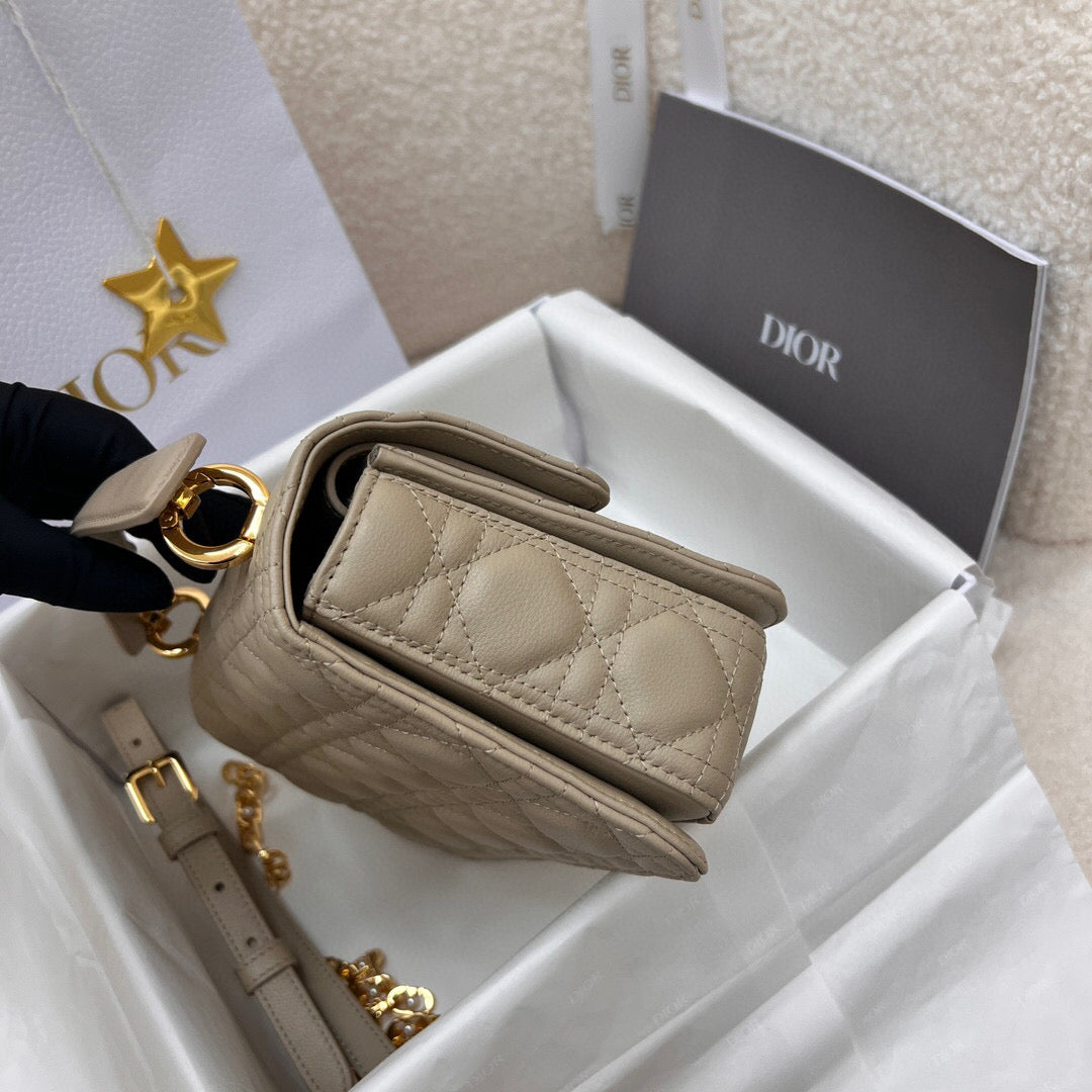 Dior Mini Jolie
