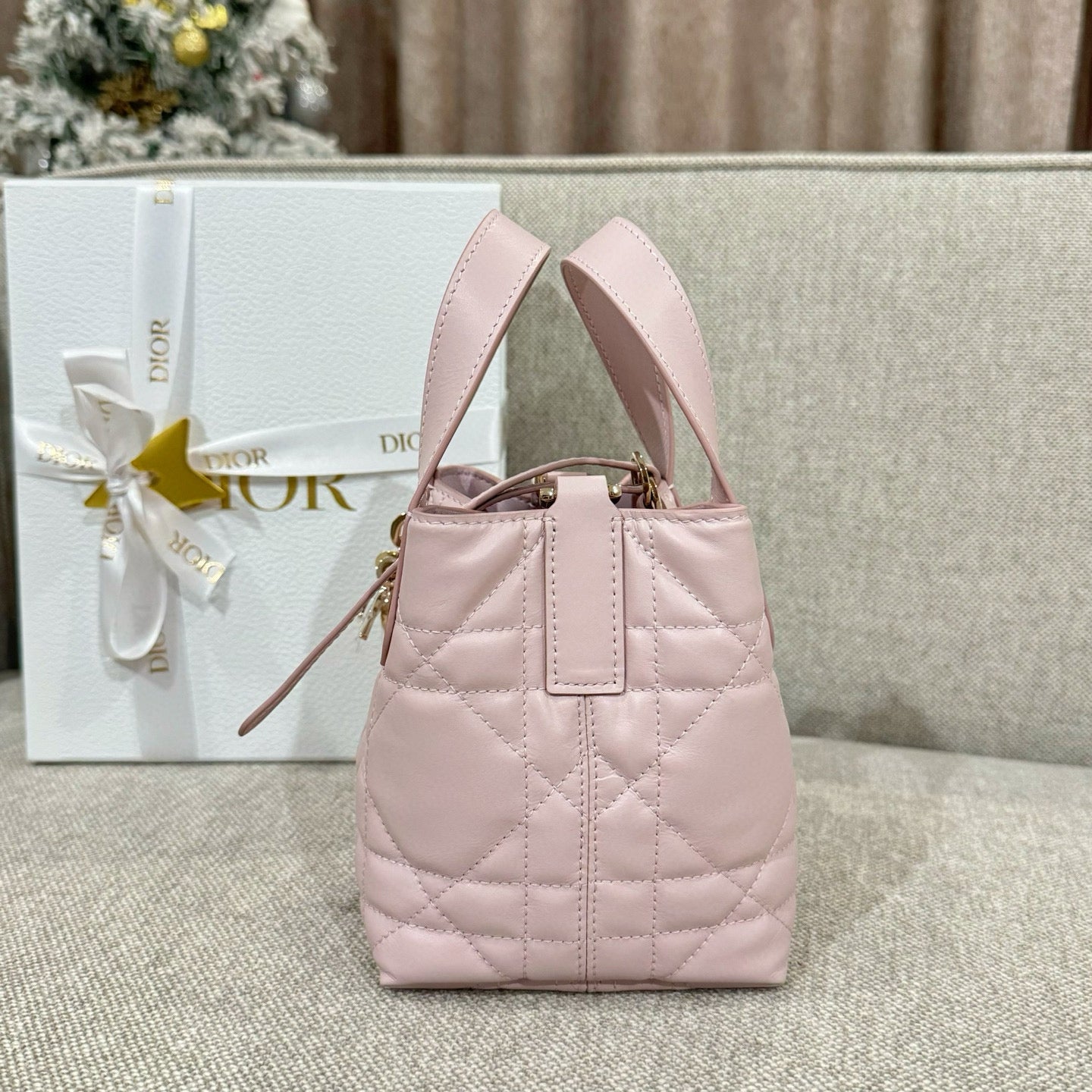 Dior Toujours Mini Bag
