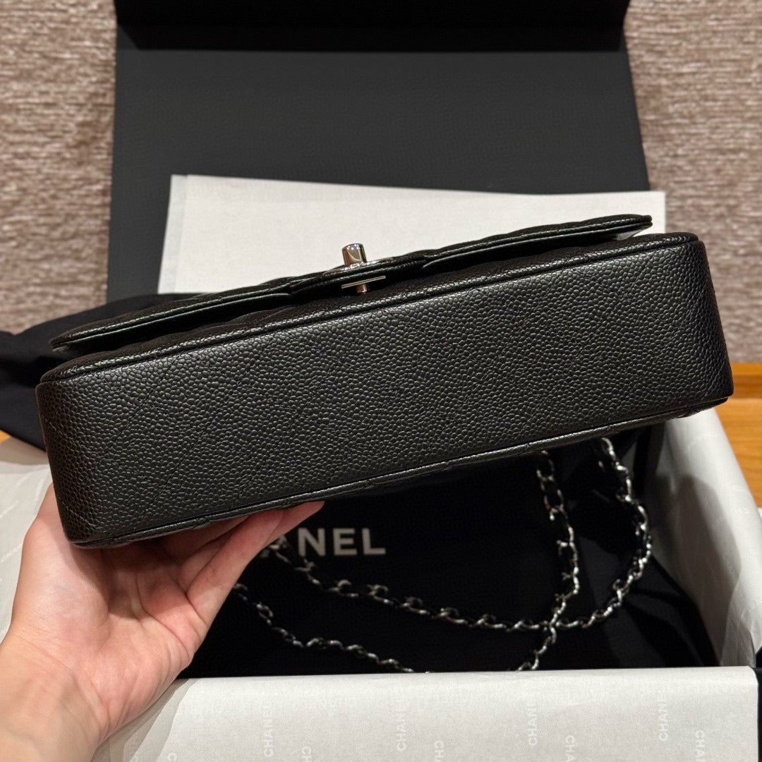 Chanel Classic Flap 25 (Medium)