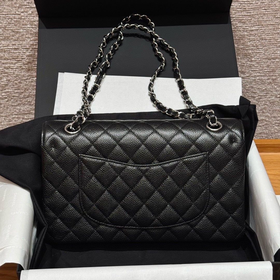 Chanel Classic Flap 25 (Medium)