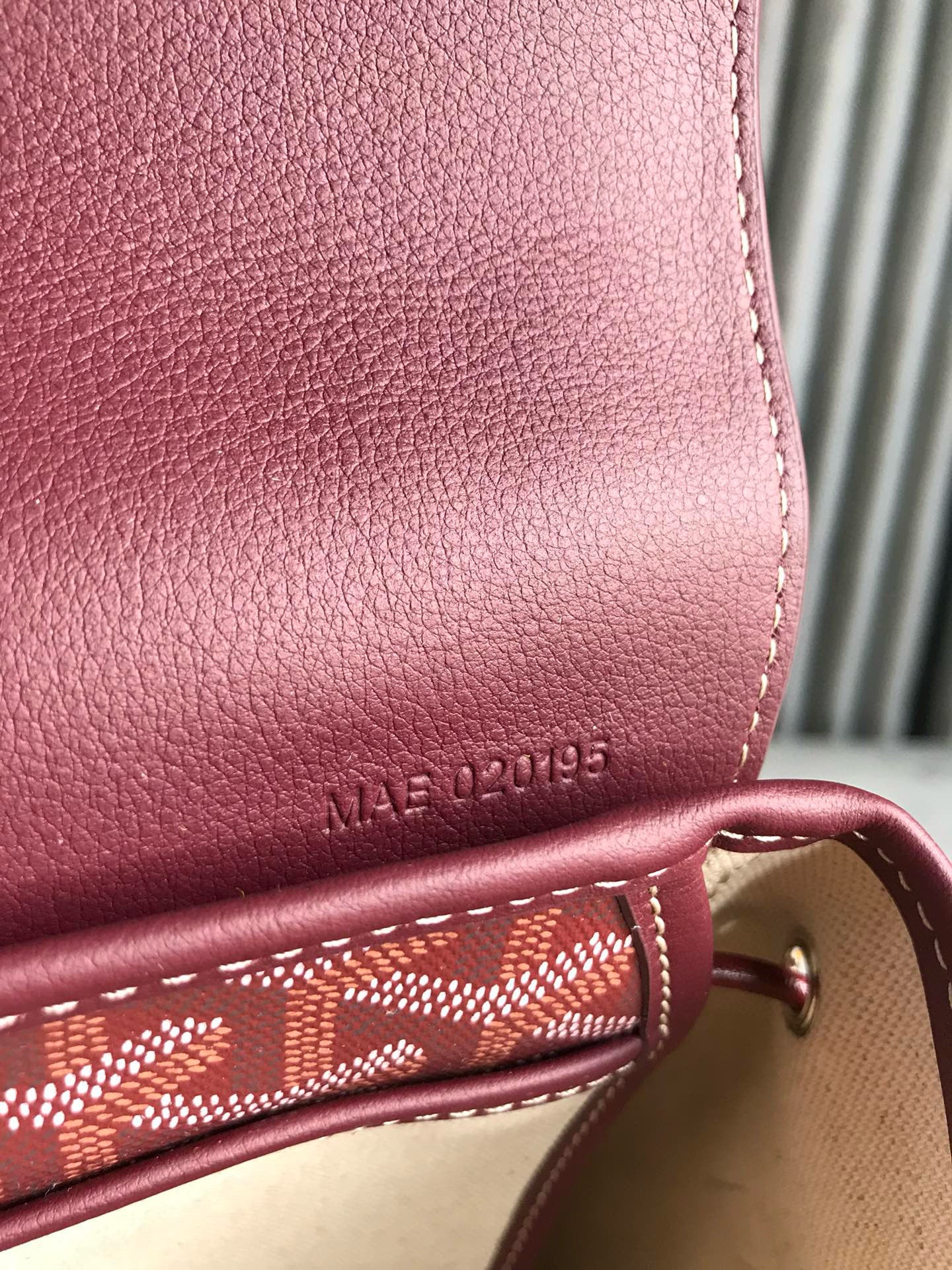 Goyard Mini Alpin Backpack