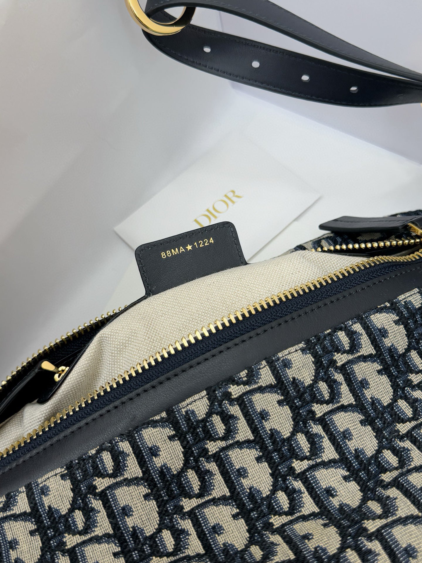 Dior Hobo Bag