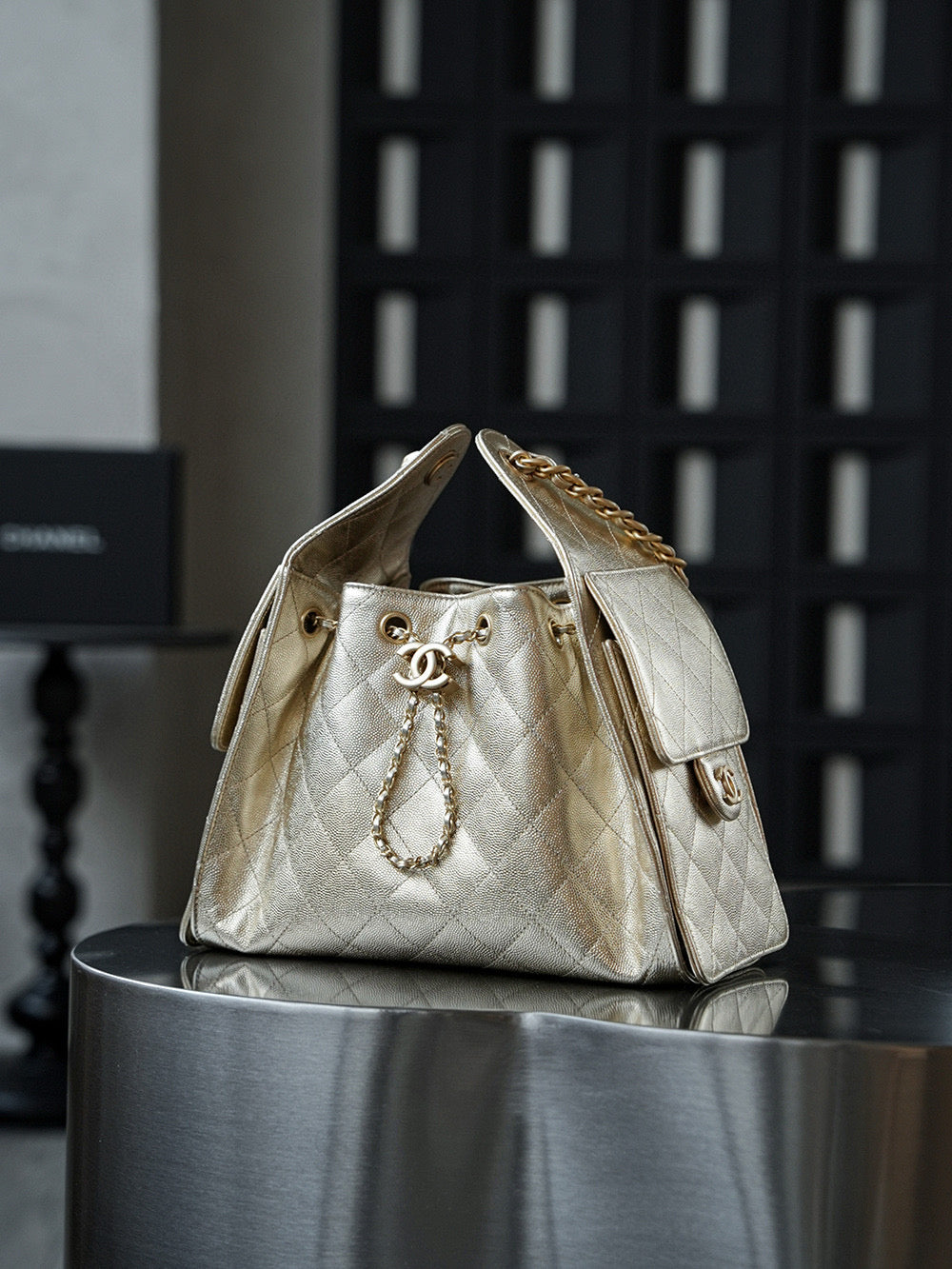 Chanel Hobo 25Bag (small)