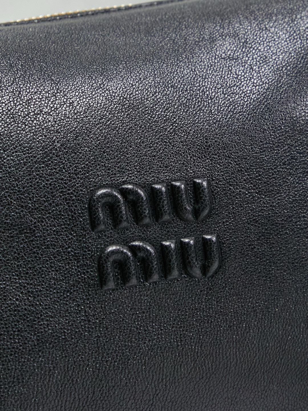 Miu Miu Case Bag
