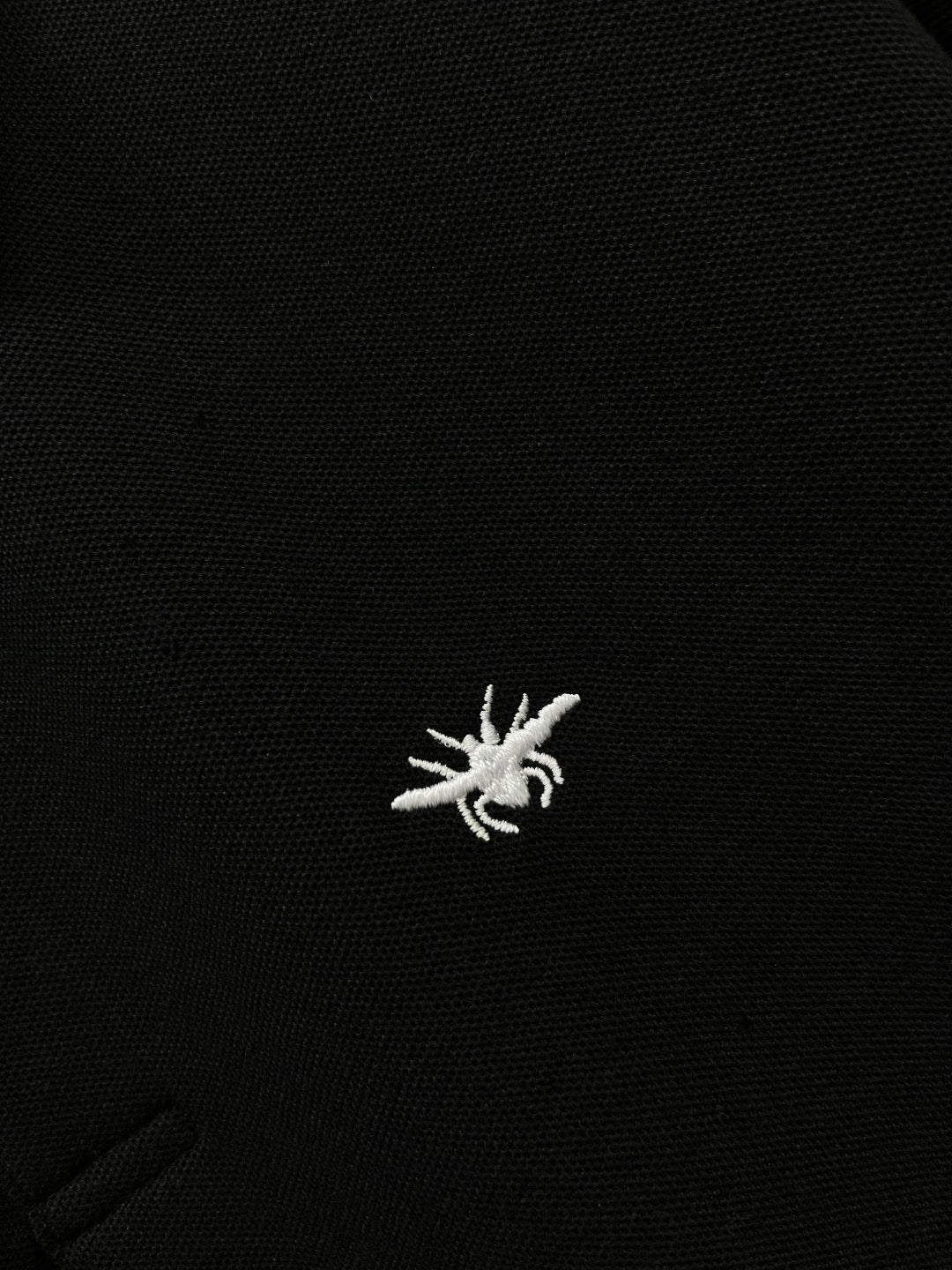 Dior Polo
