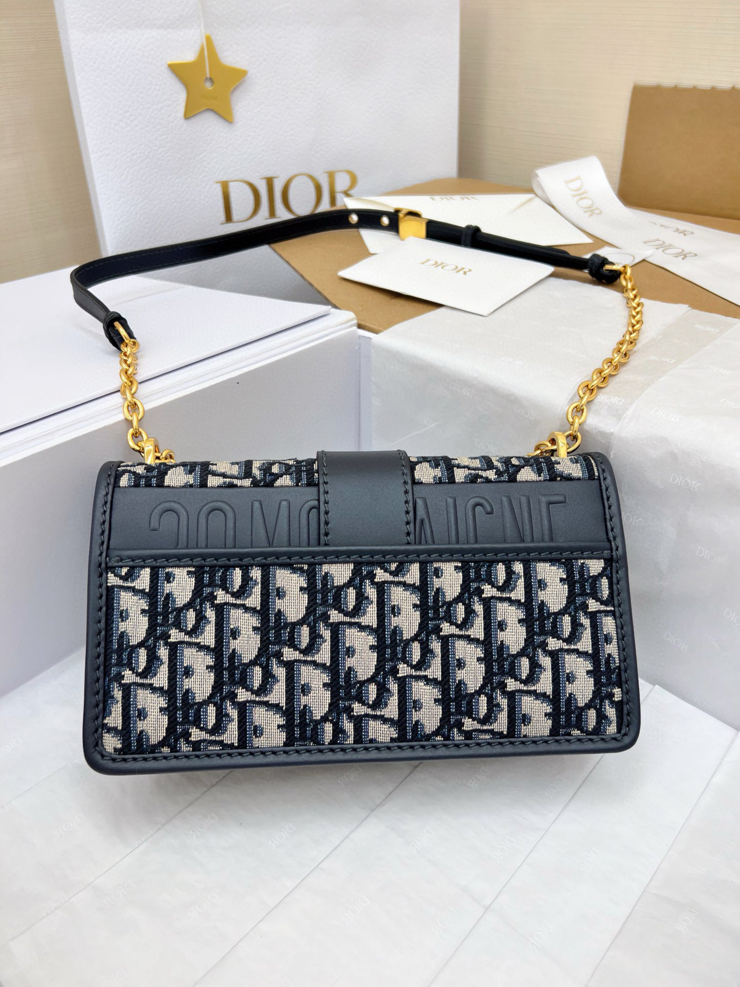 Dior Montaigne Bag